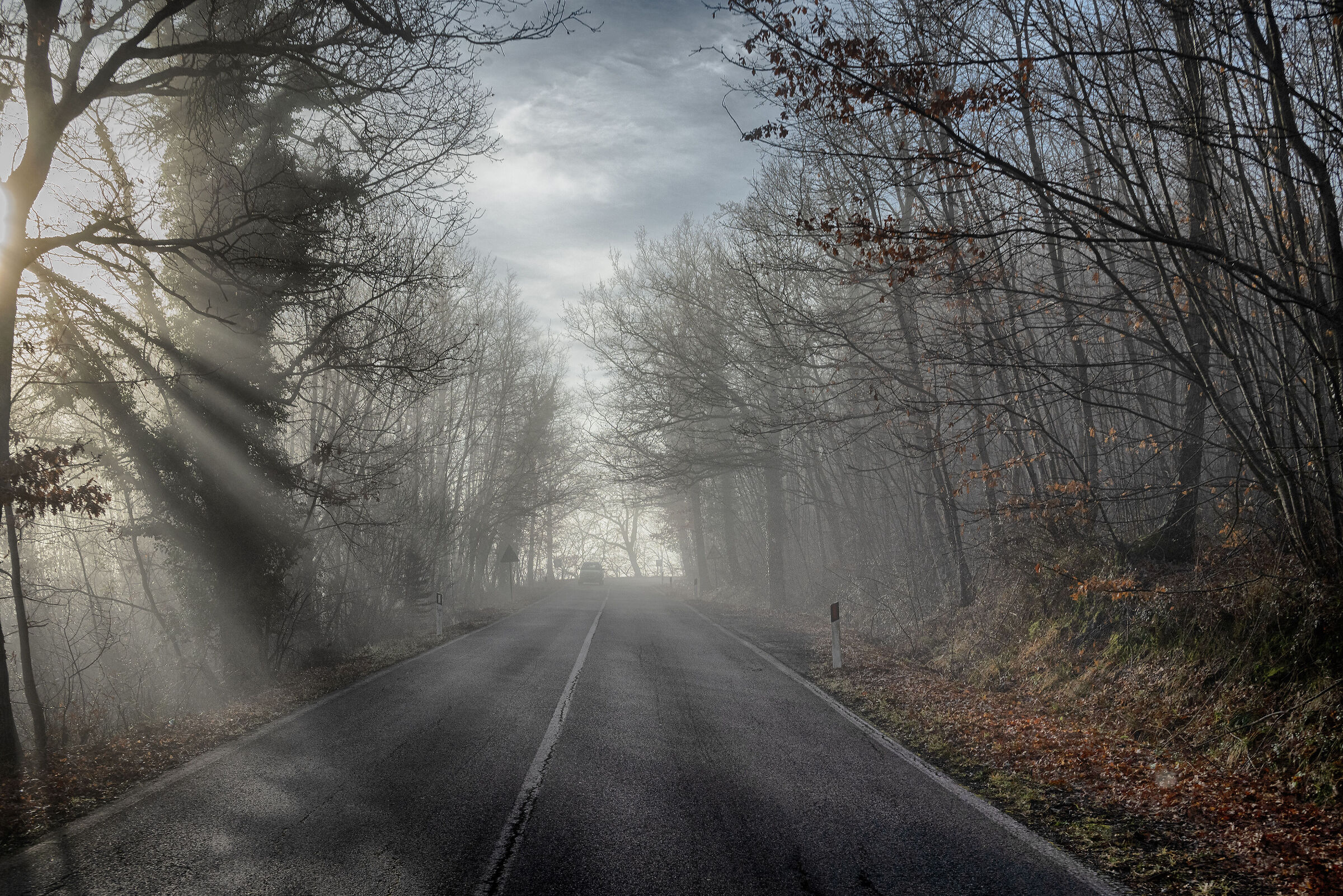 And a ray of sunshine filtered through...