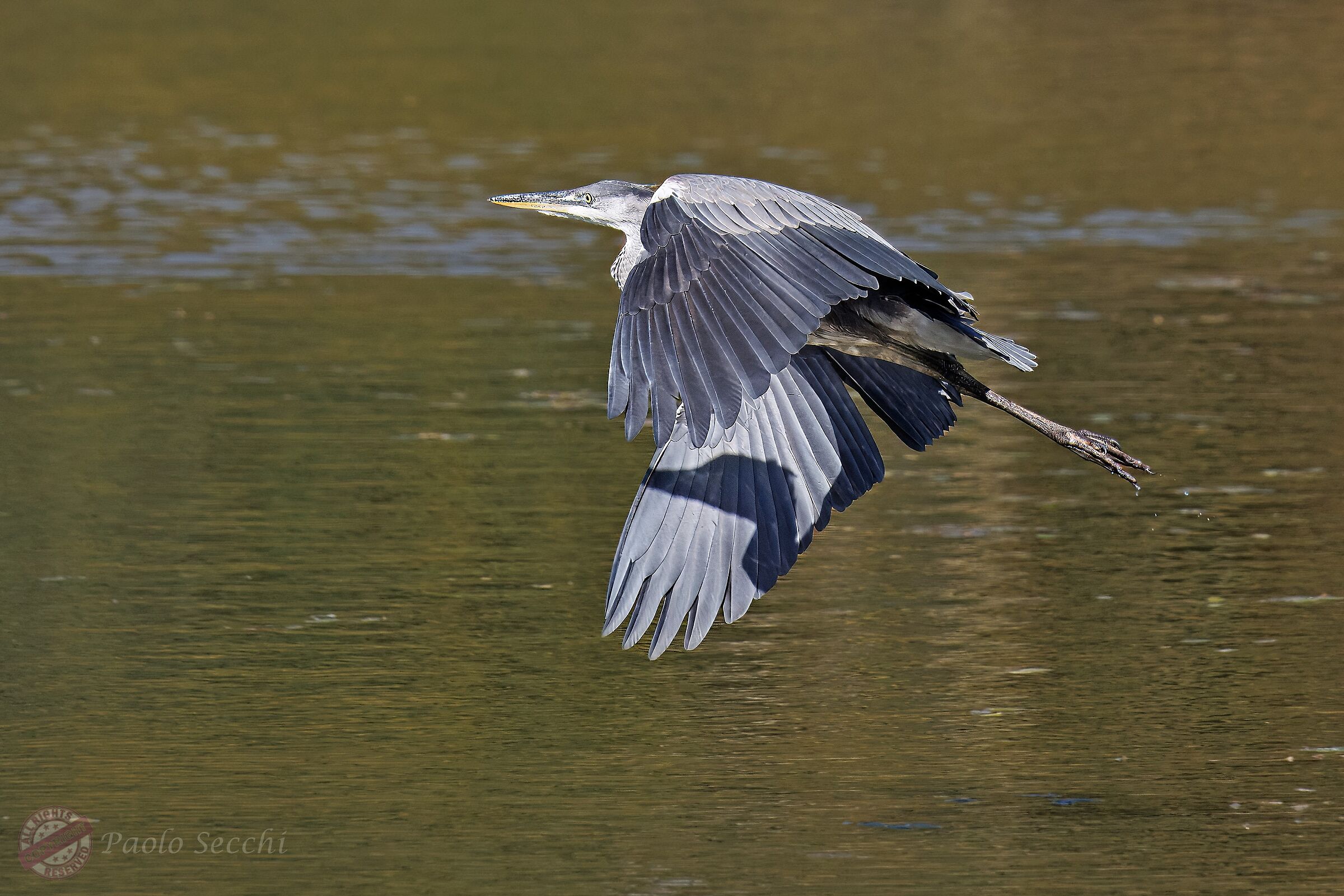 The naturalness of flight