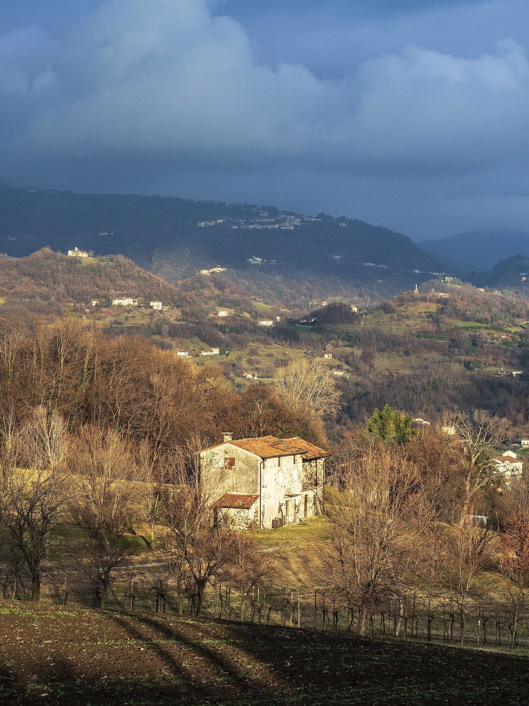 Rustico di collina