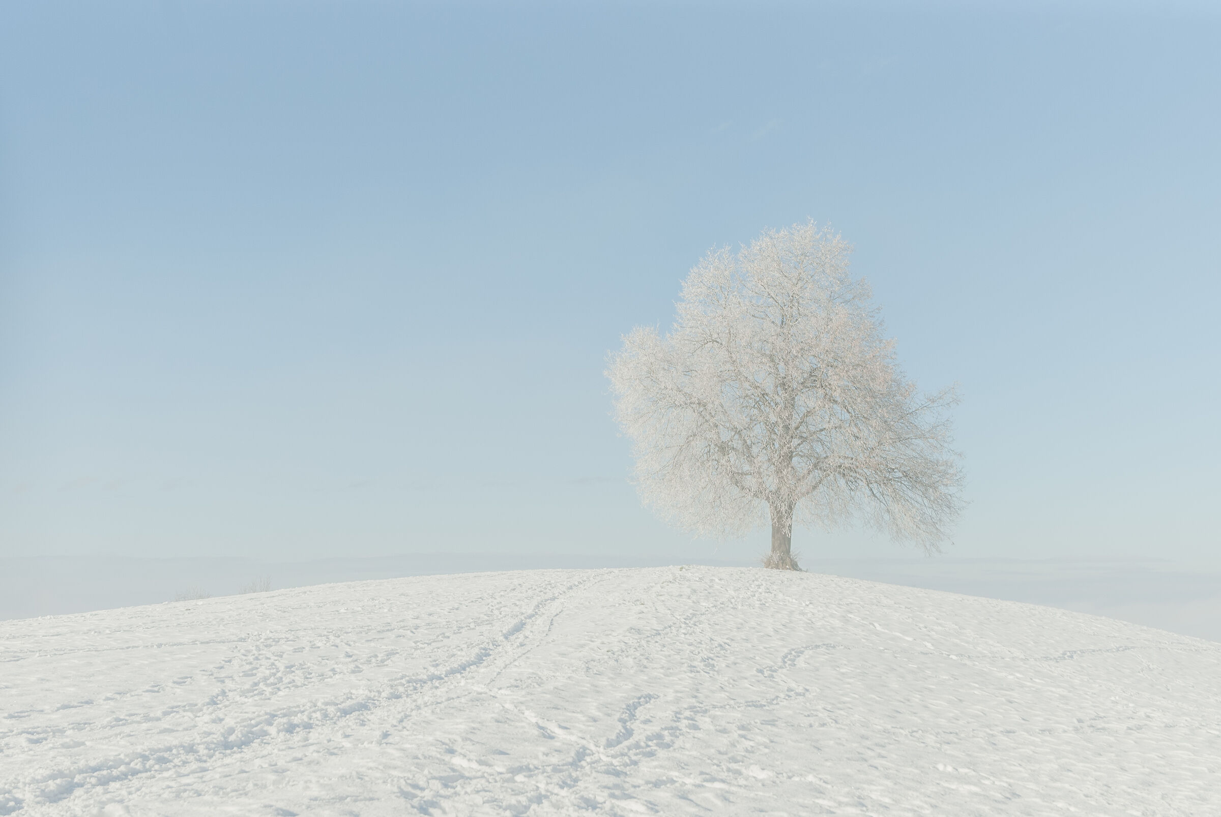 Silence