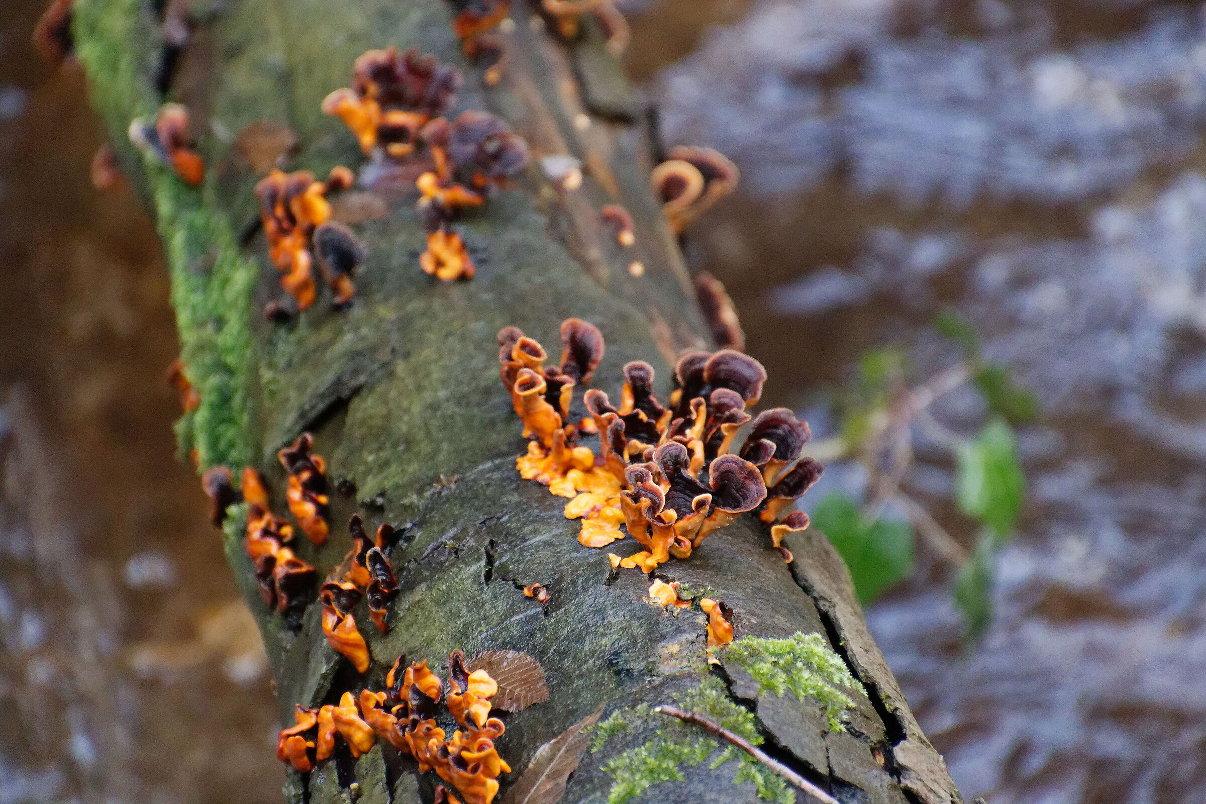 In qualche posto fuori