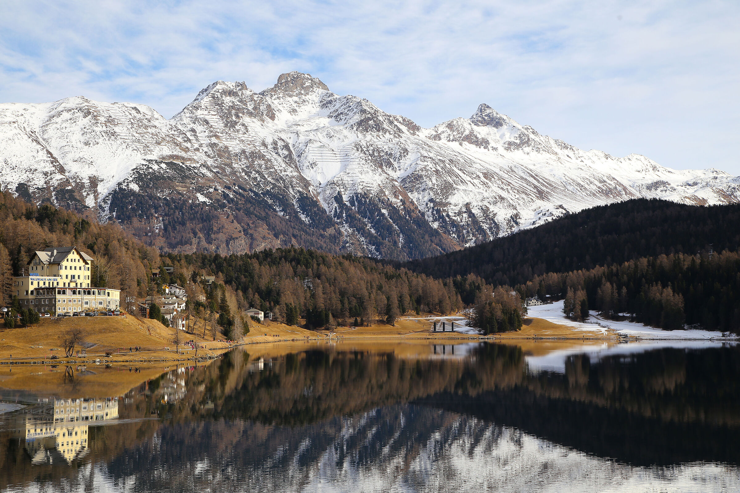 Bernina