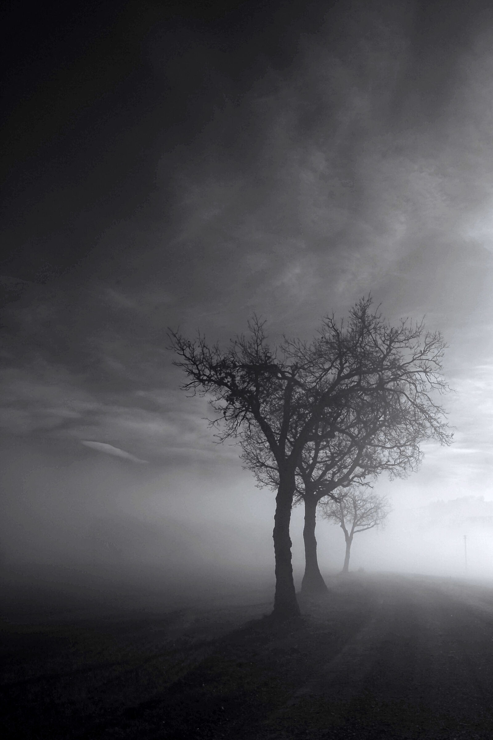 Nebbia mattutina