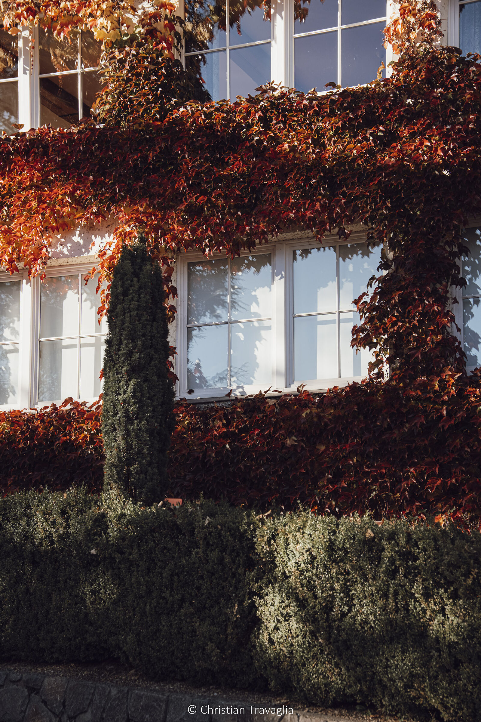 Collalbo (bz) - Autunno 2024