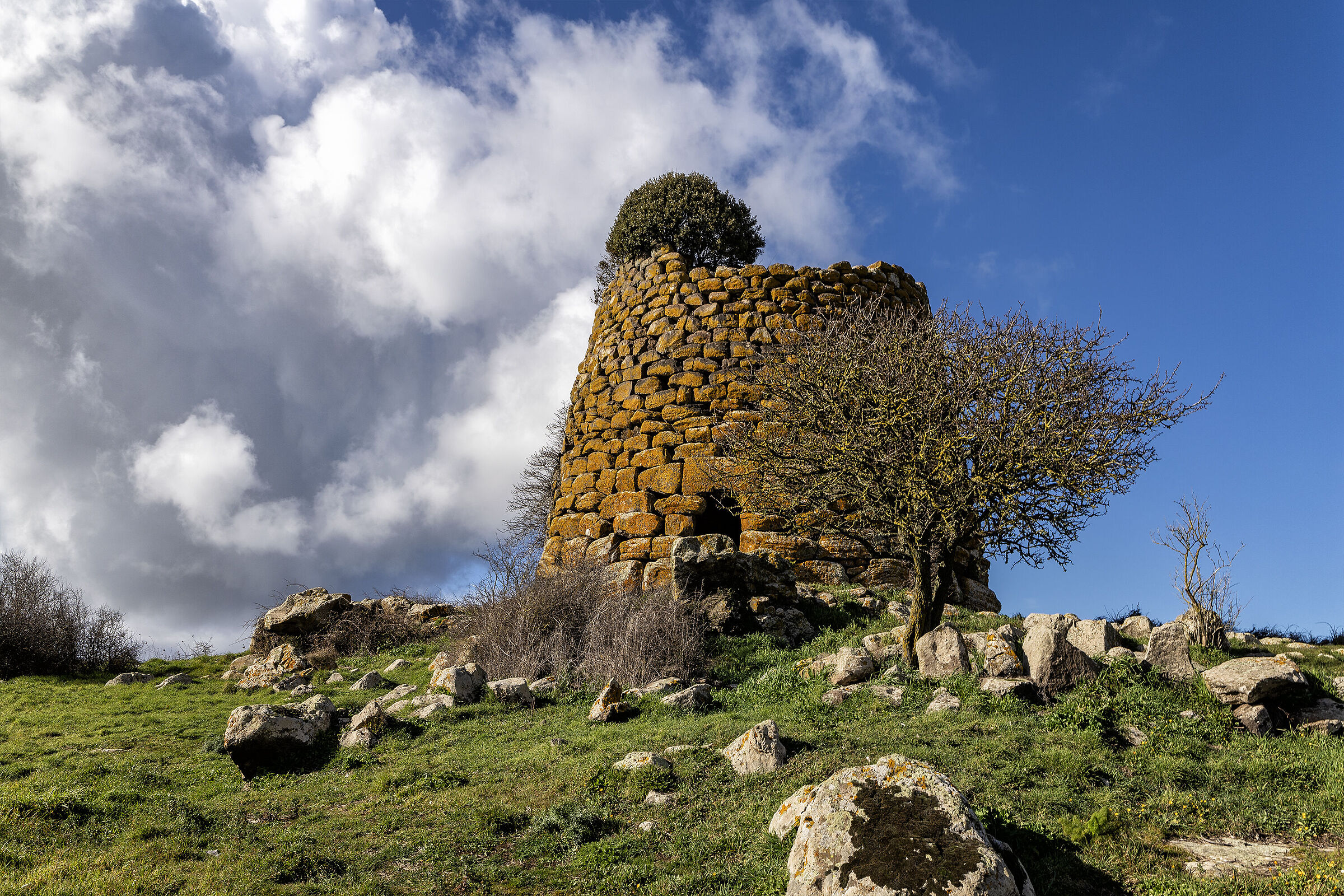 Nuraghe Succoronis