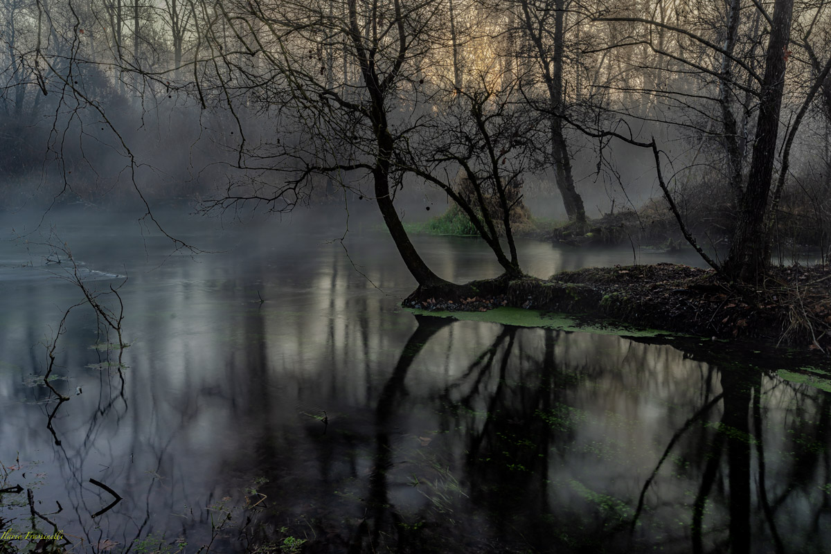 Nebbia di prima mattina