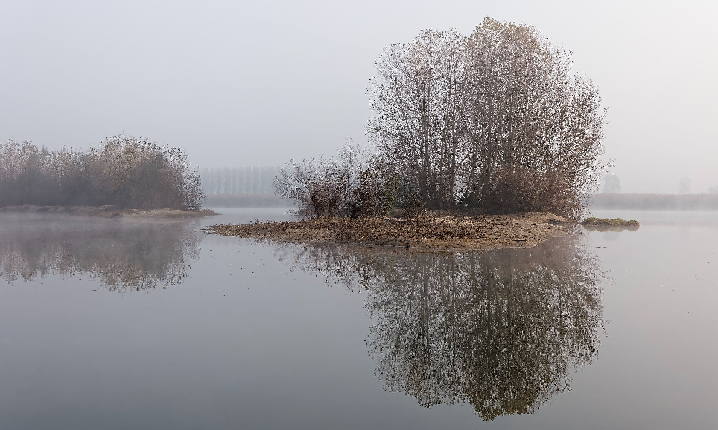 Along the Sesia
