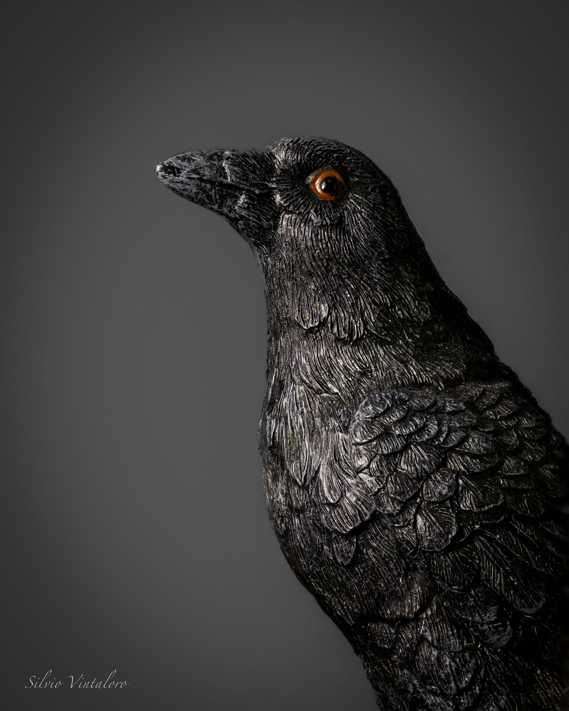 Raven figurine, macro in focus stacking