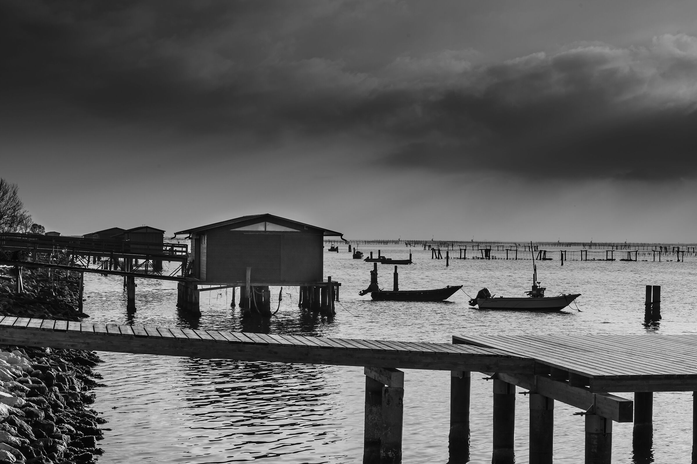 Sacca di Scardovari #biancoenero #bw