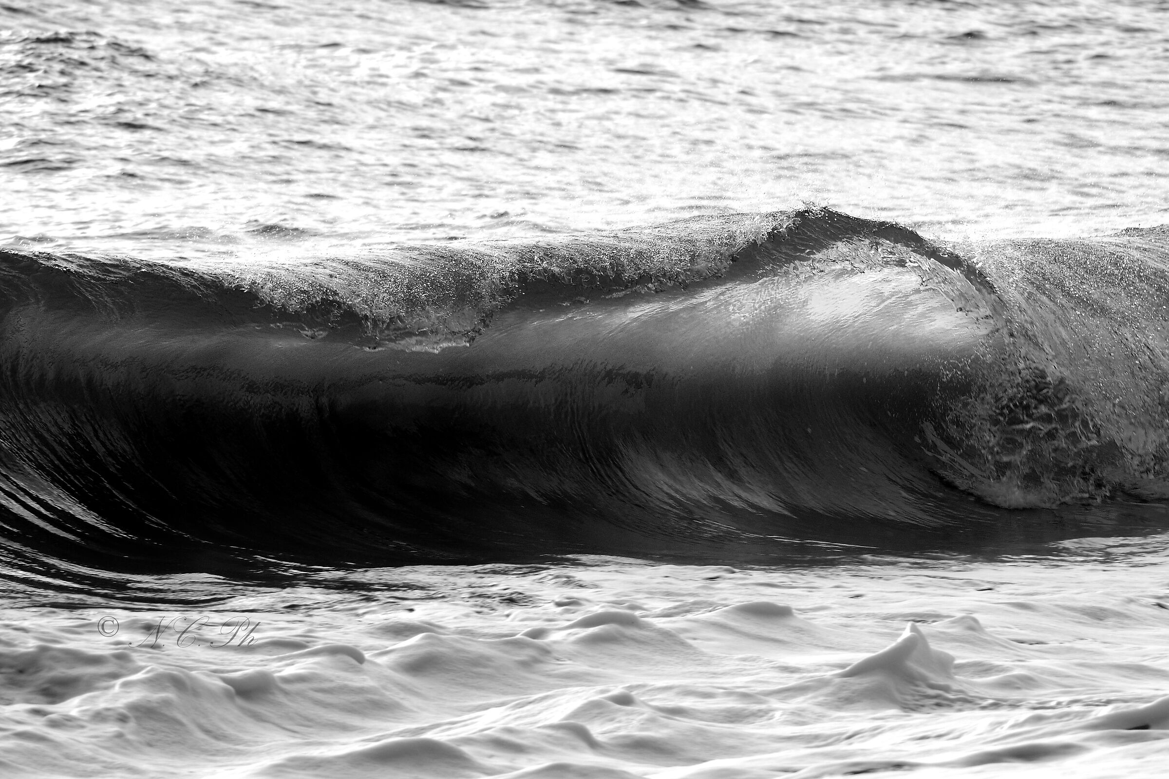 B/W Wave
