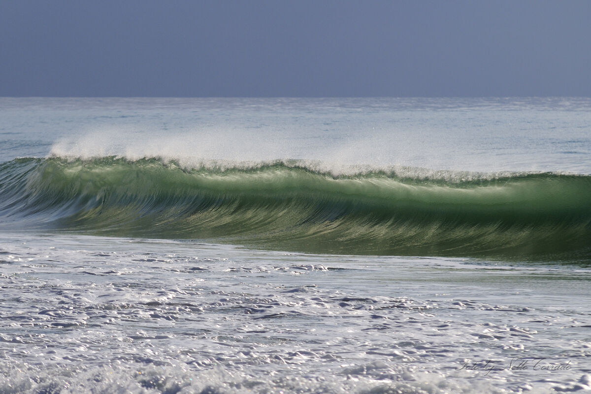 waves