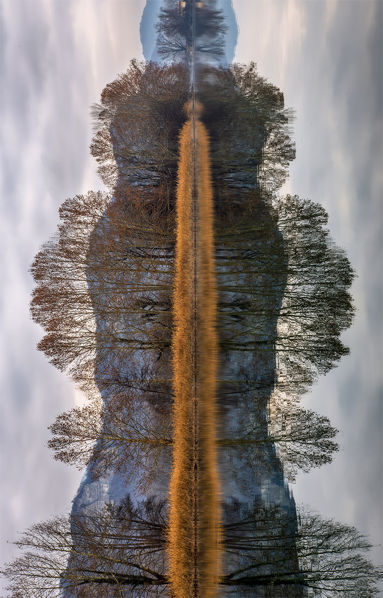 ..: Riflessi "particolari" :..