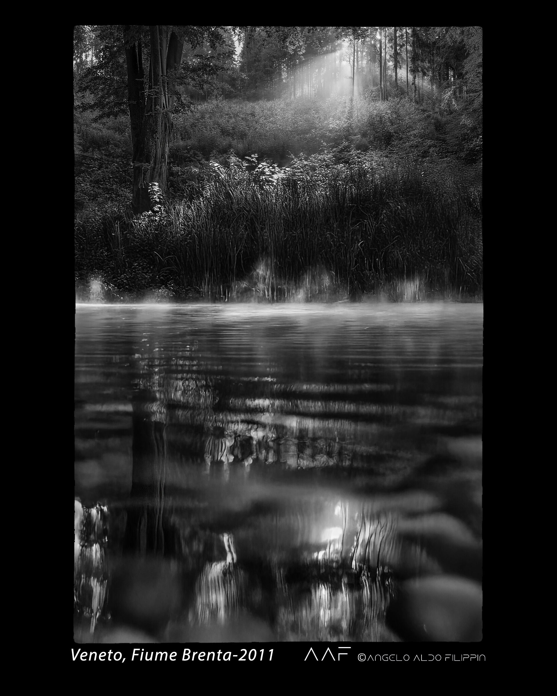 Veneto, Fiume Brenta-2011