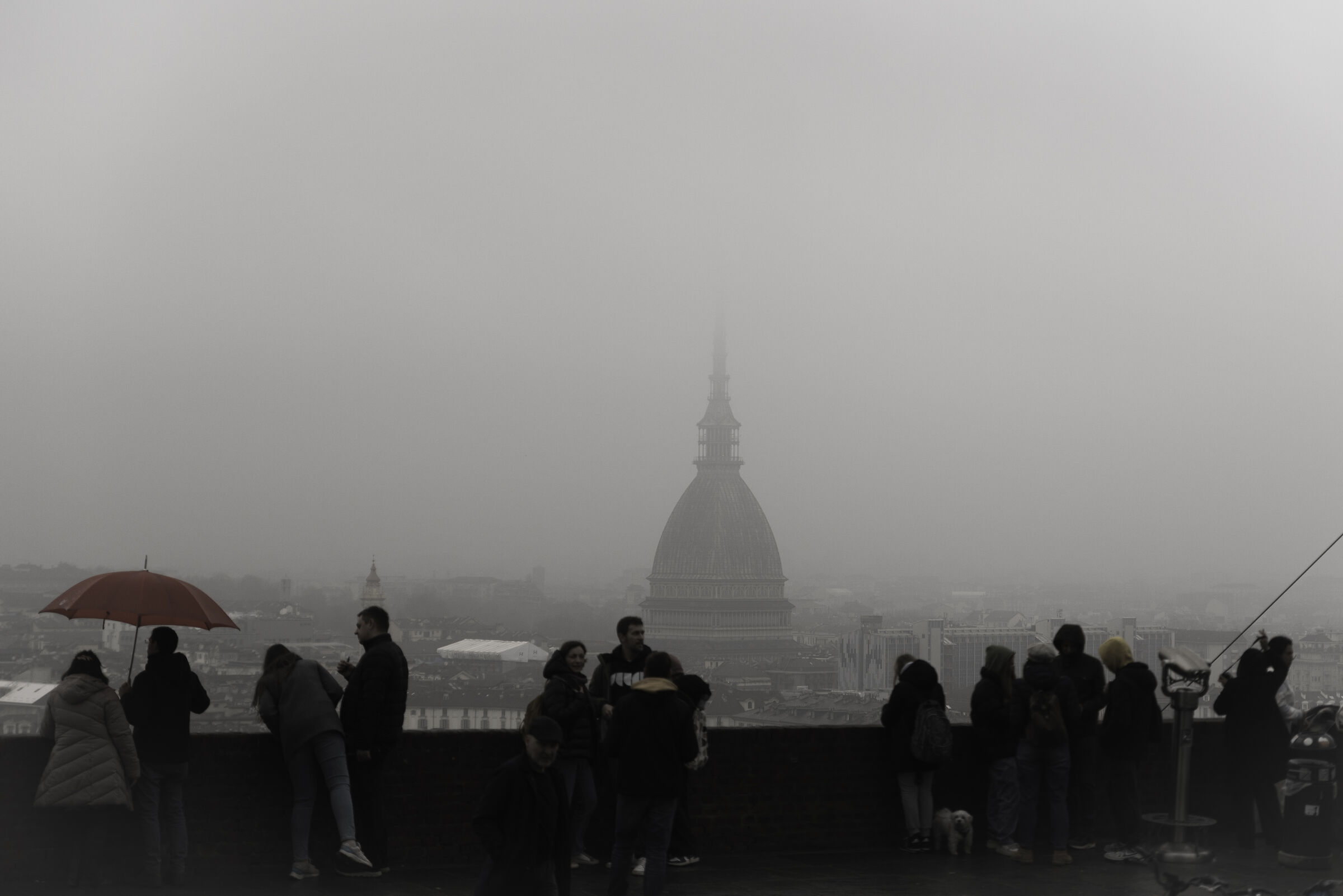 The fog