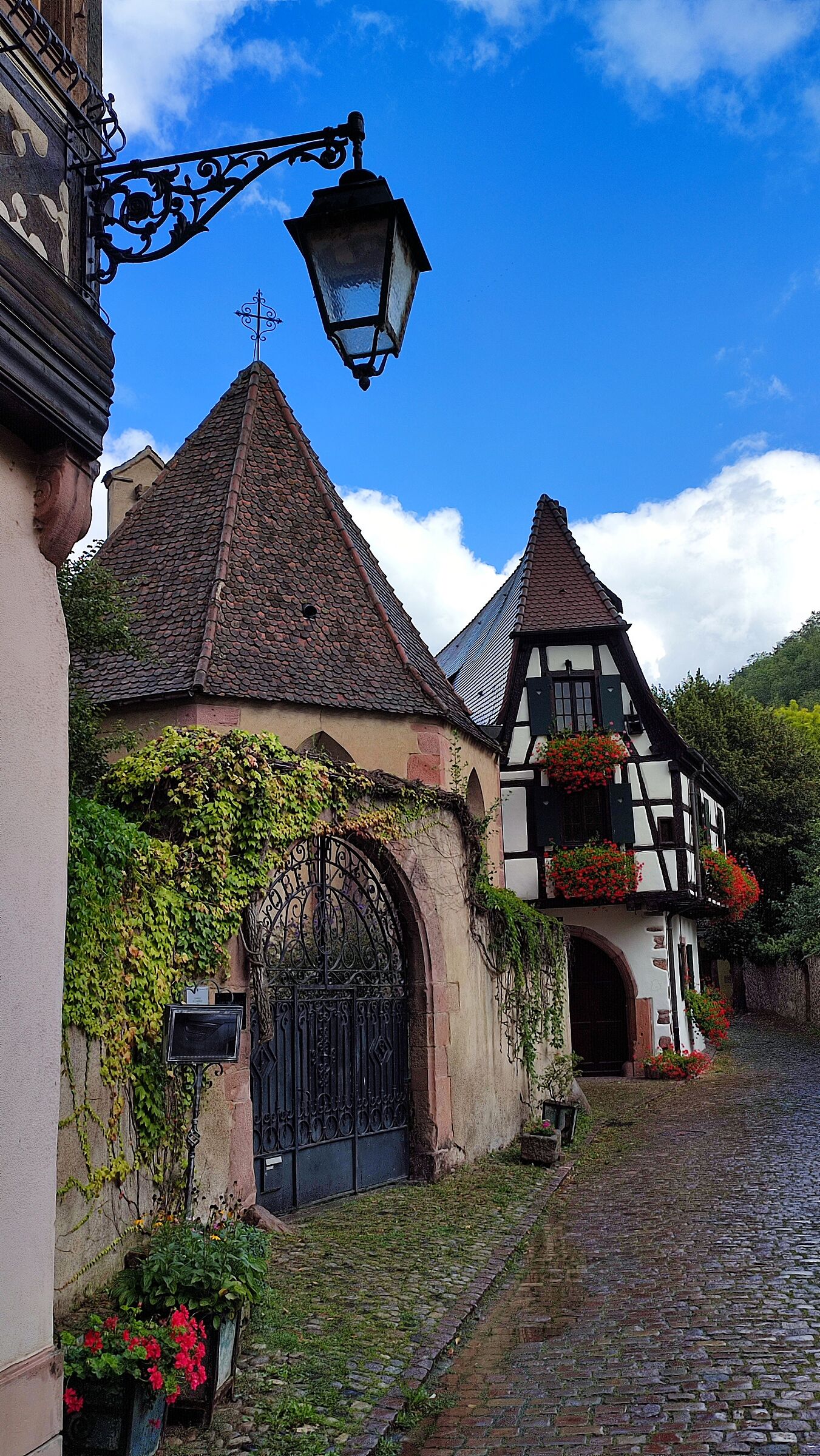 2024 kaysersberg