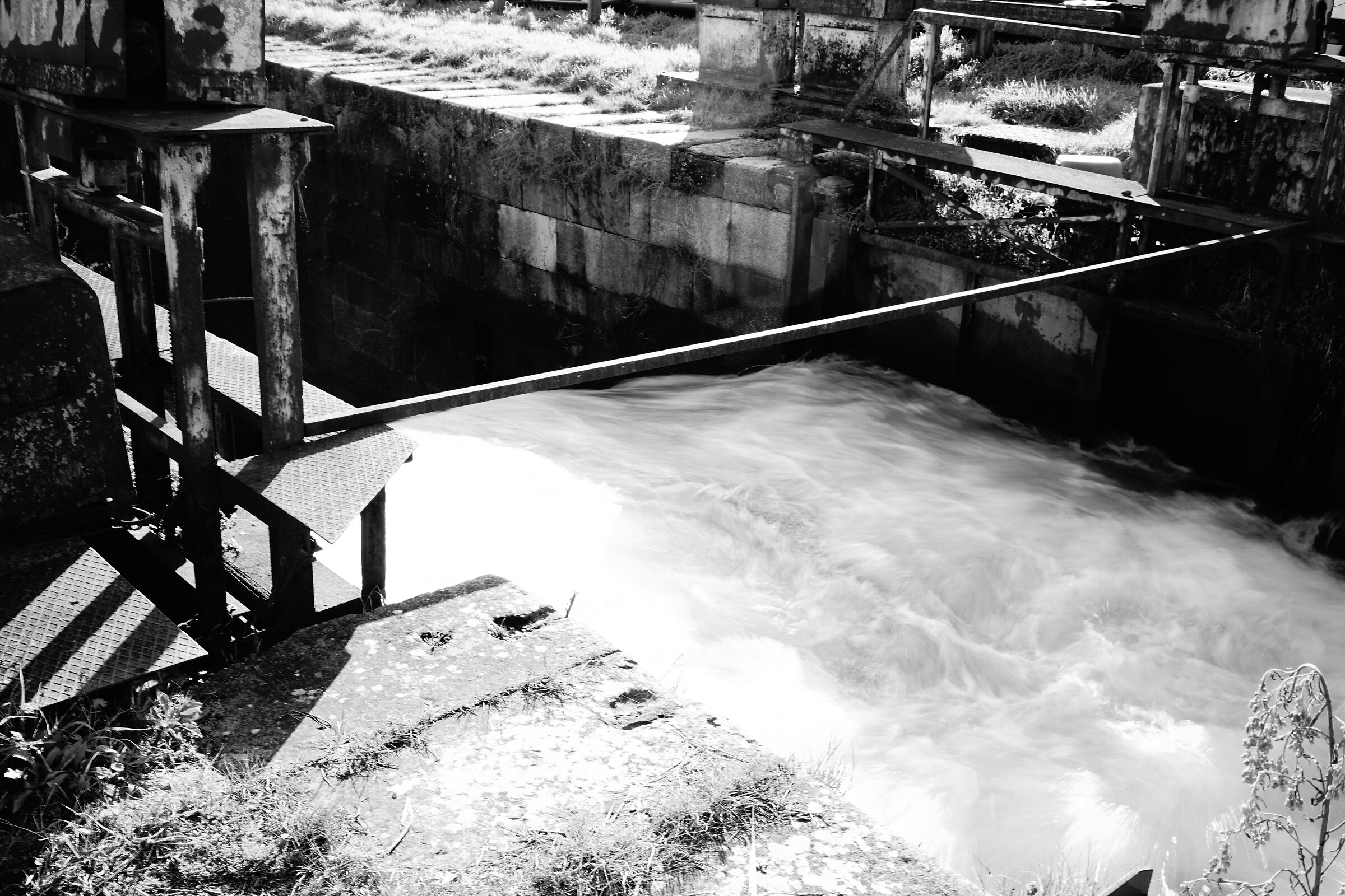 Le conche del Naviglio