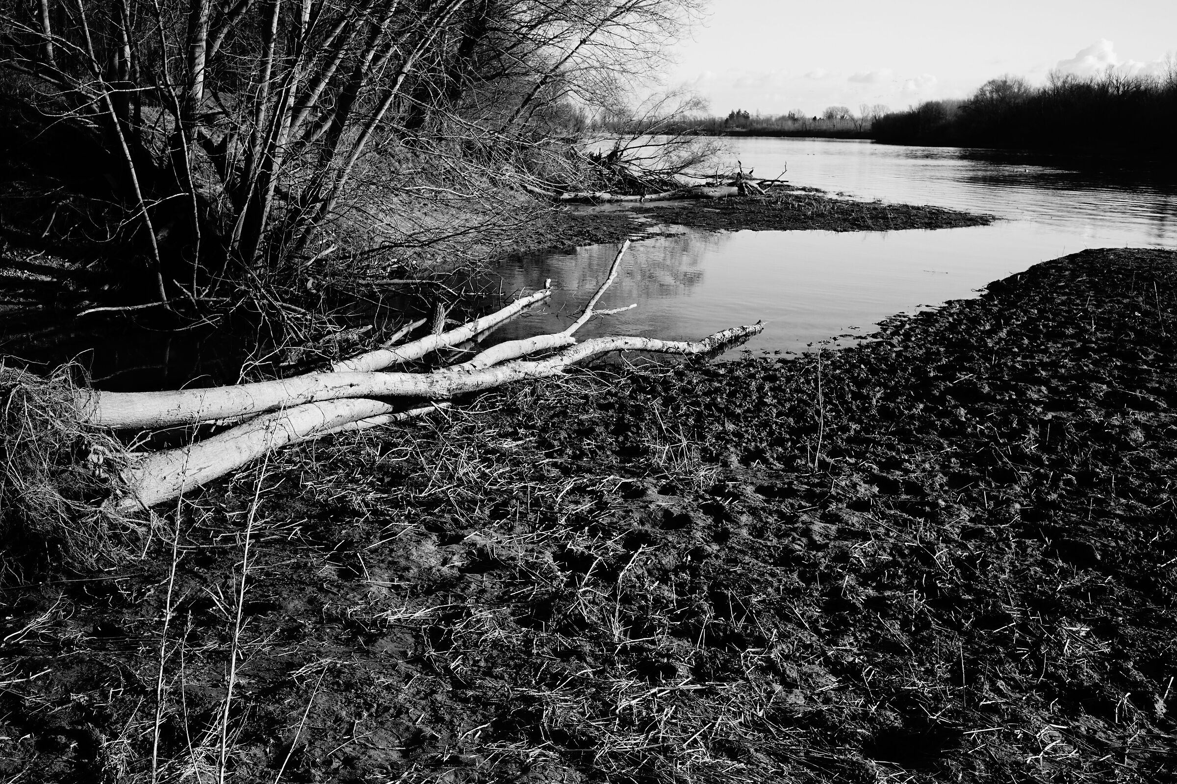 La foce di Vernavola