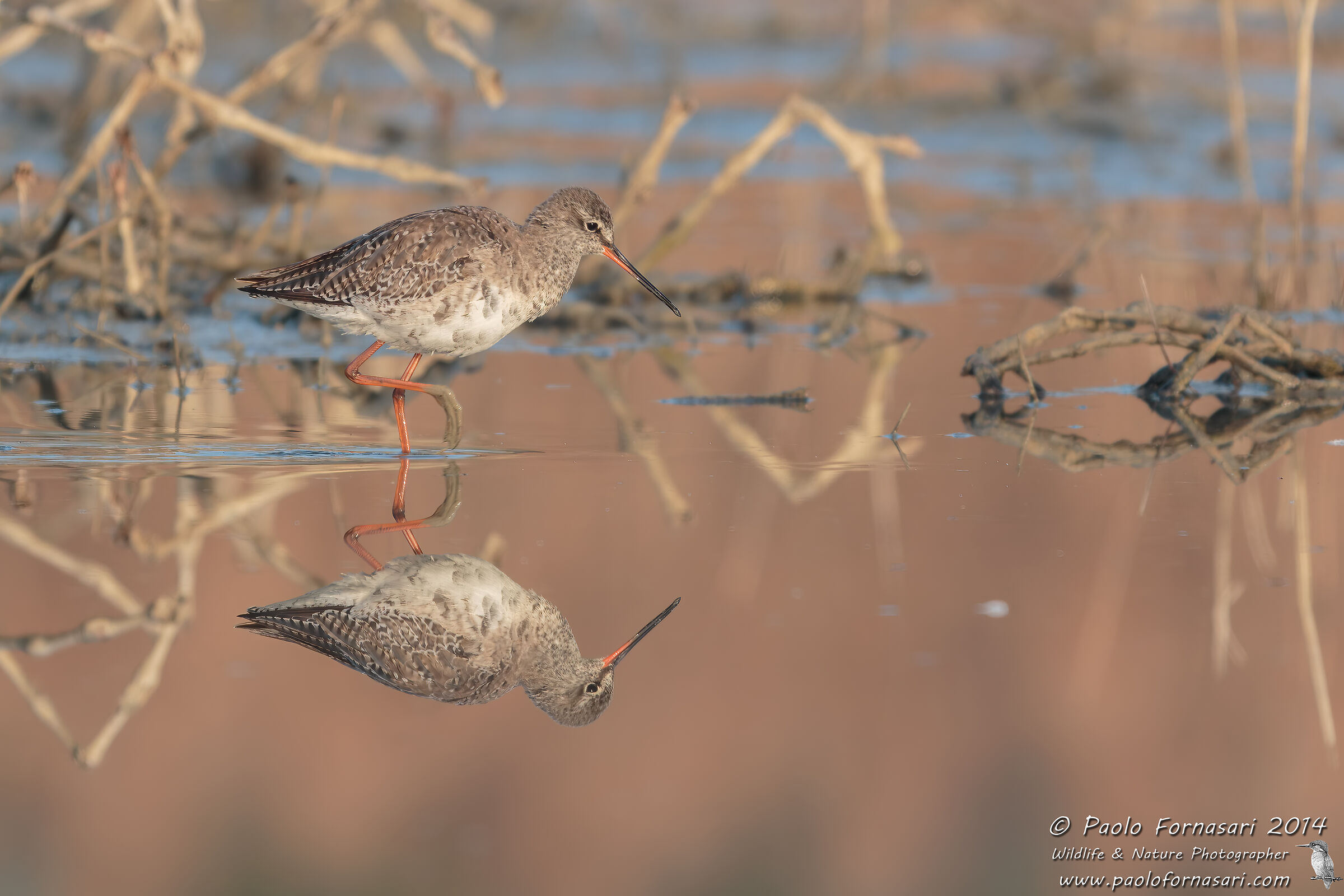 Reflections