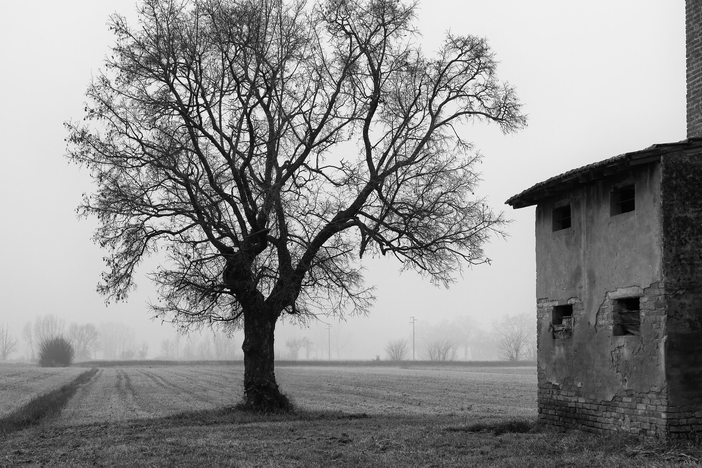 Le nebbie mattutine della Pianura Padana