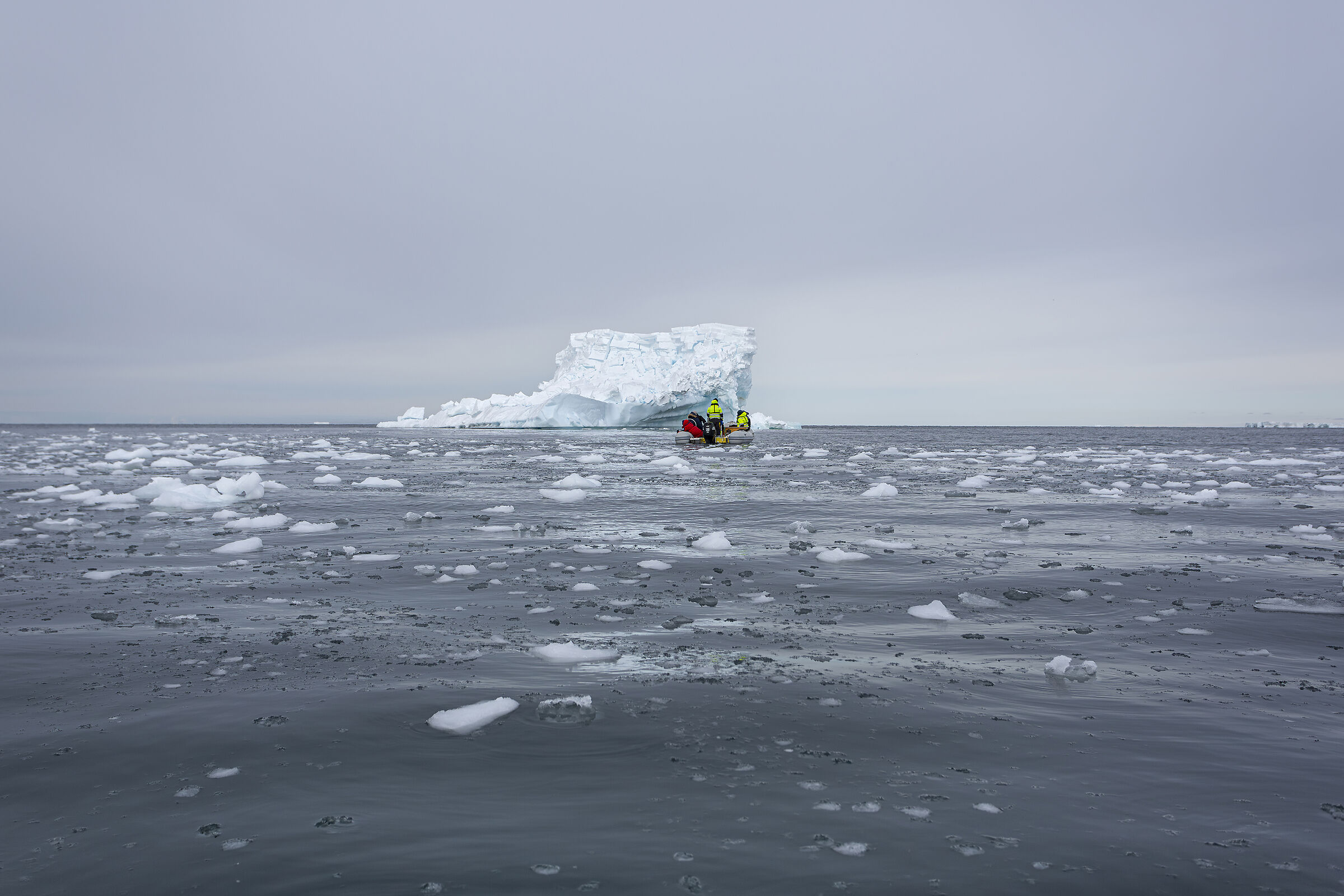 In the grey Southern Ocean