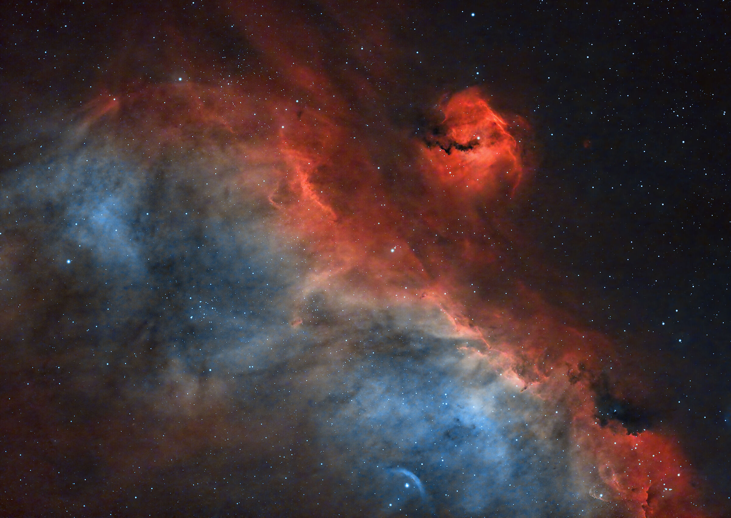 Seagull Nebula