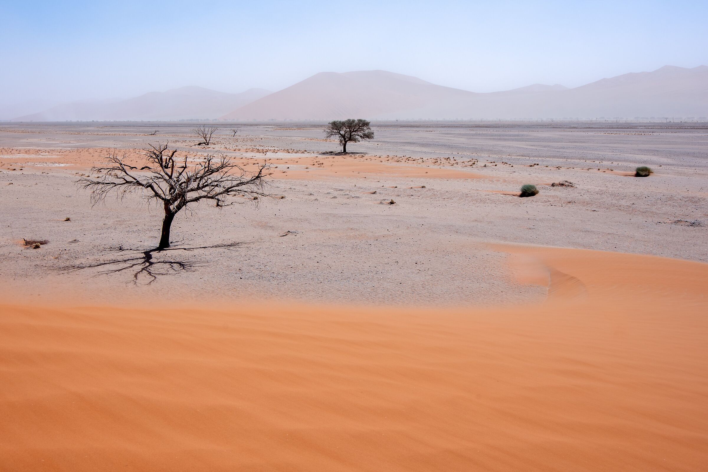 Namib in tempesta