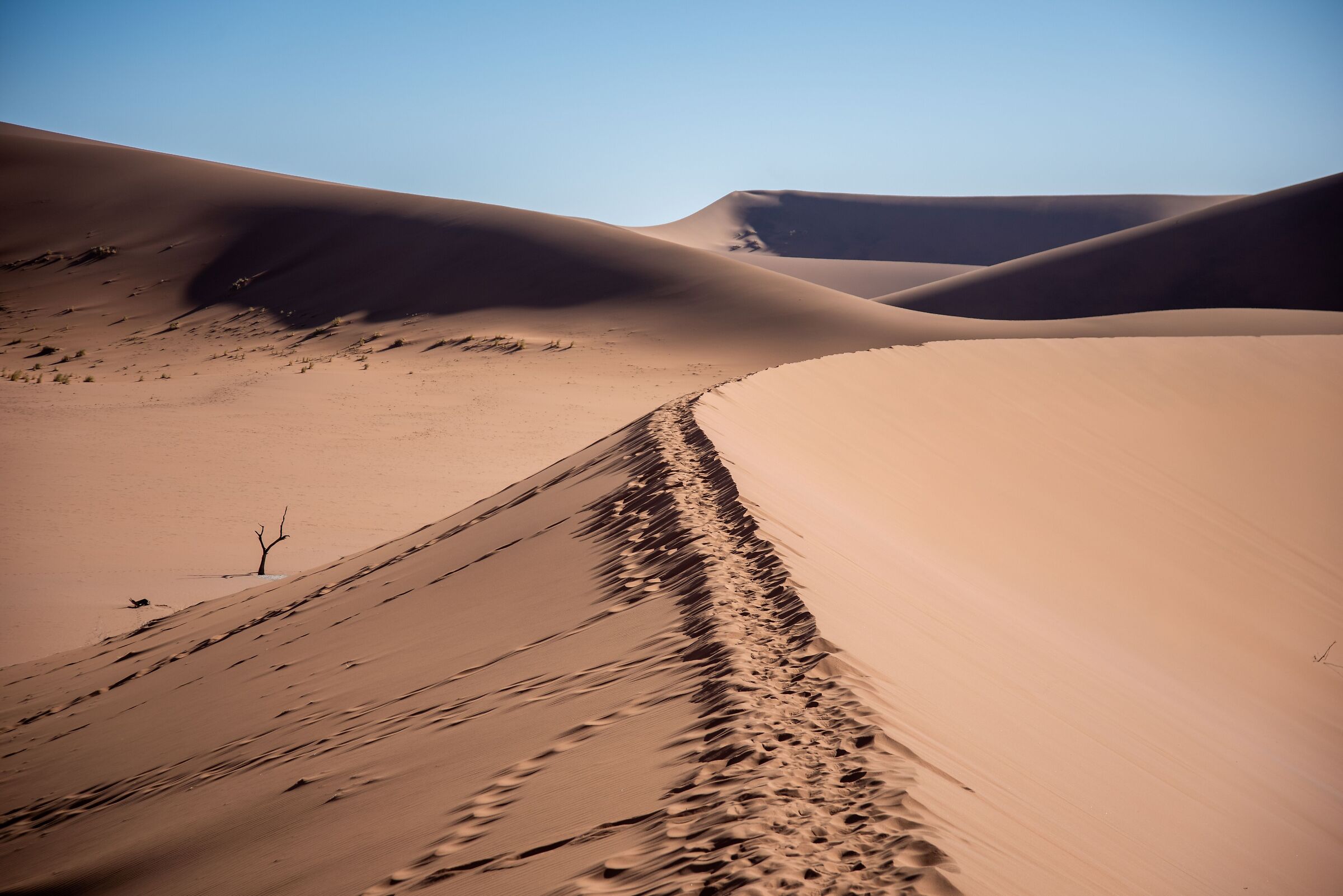 Sands