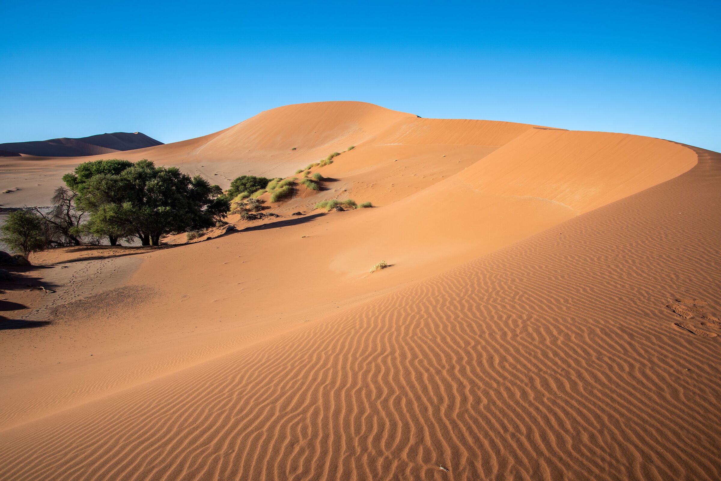Sossusvlei