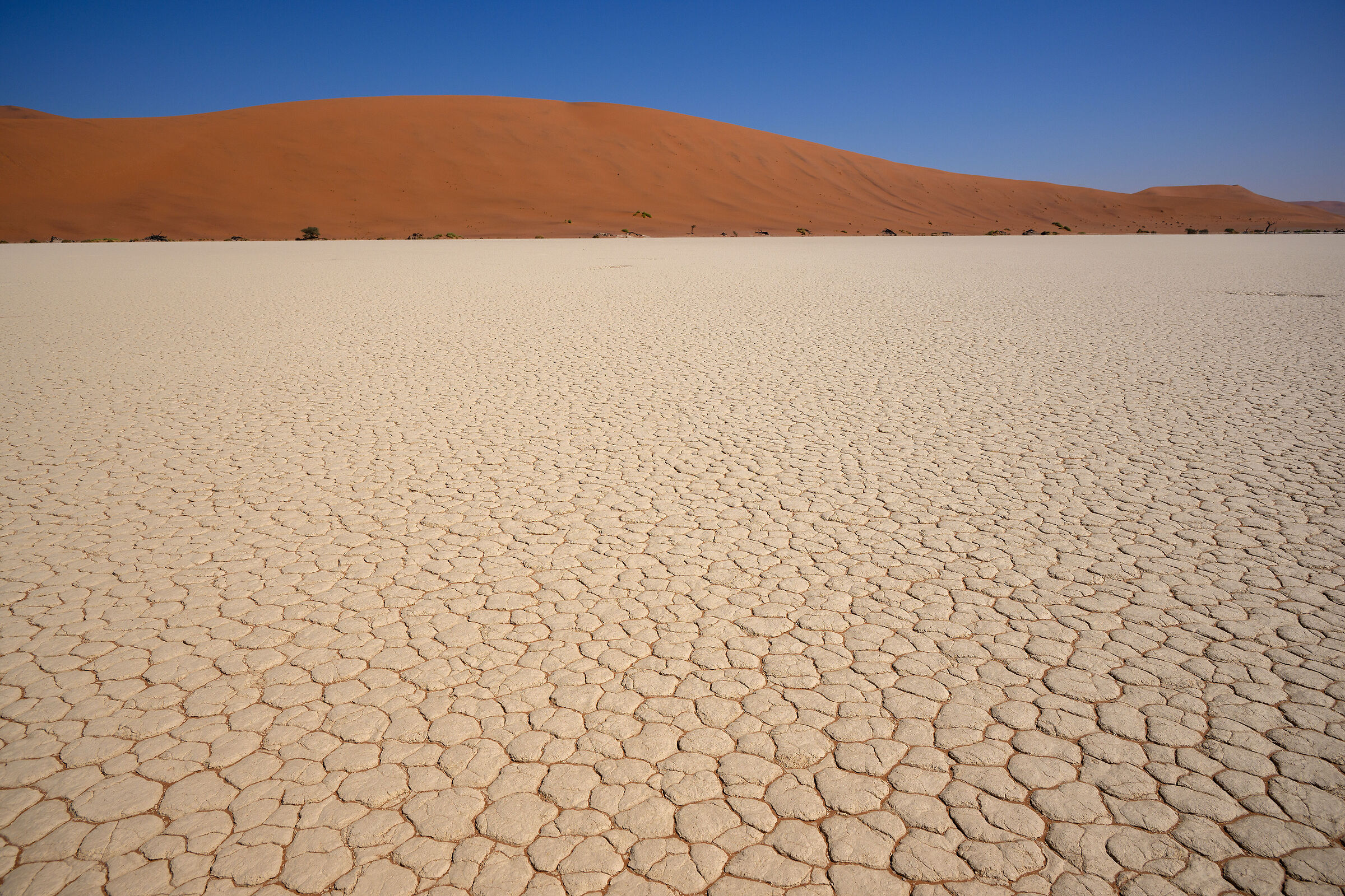 Deserto piastrellato