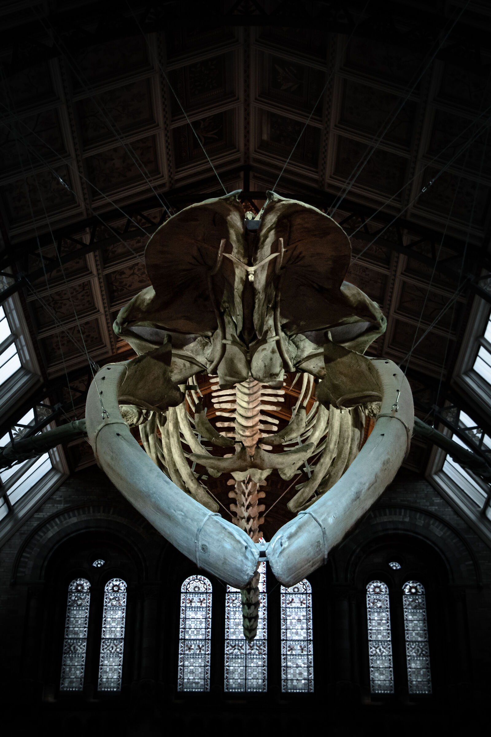 Natural Science Museum, London