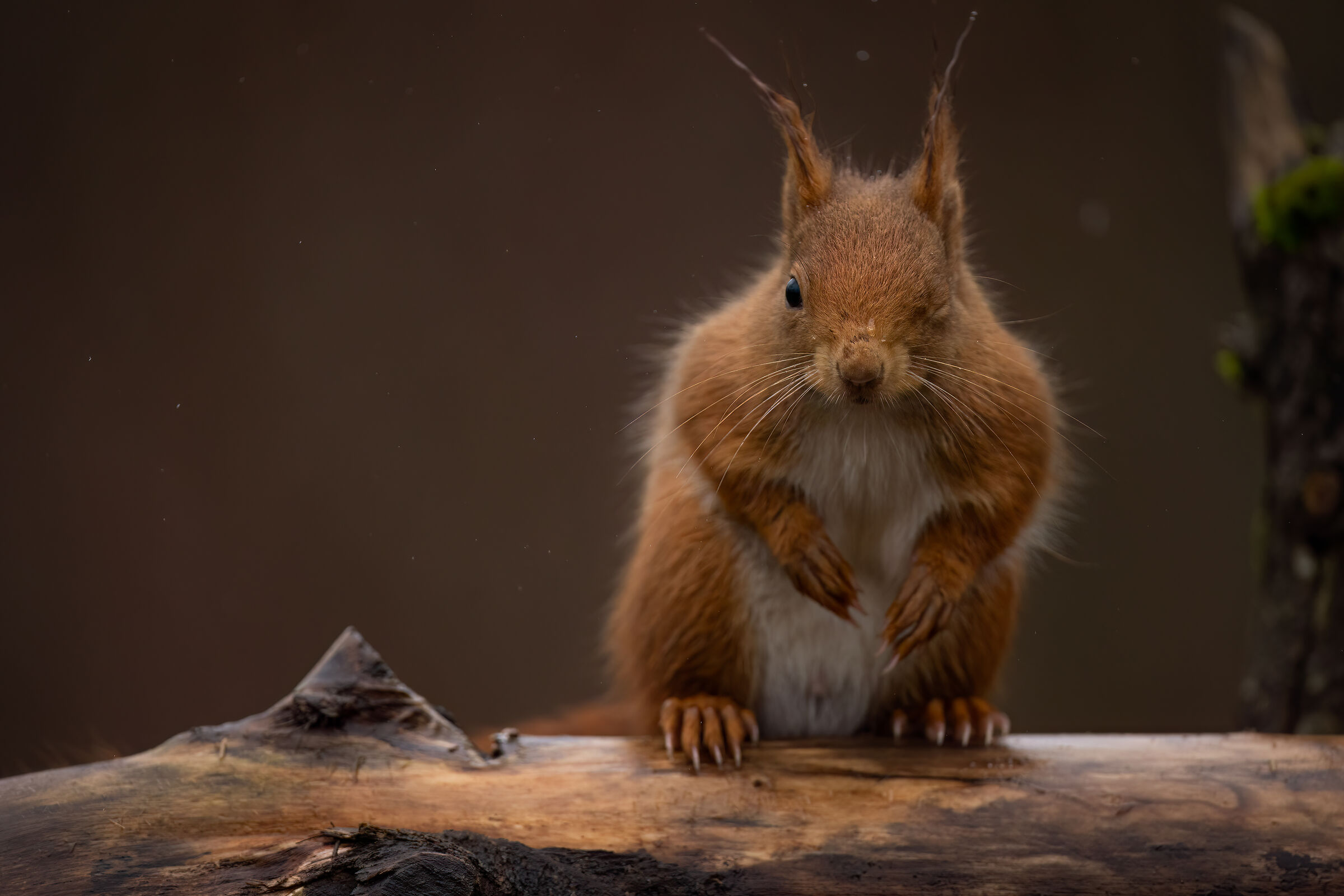 It's a secret that remains between us...