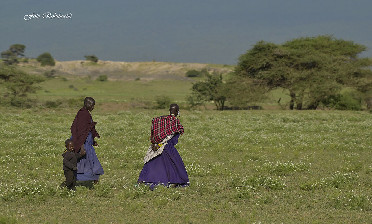 Tanzania...la savana in fior...