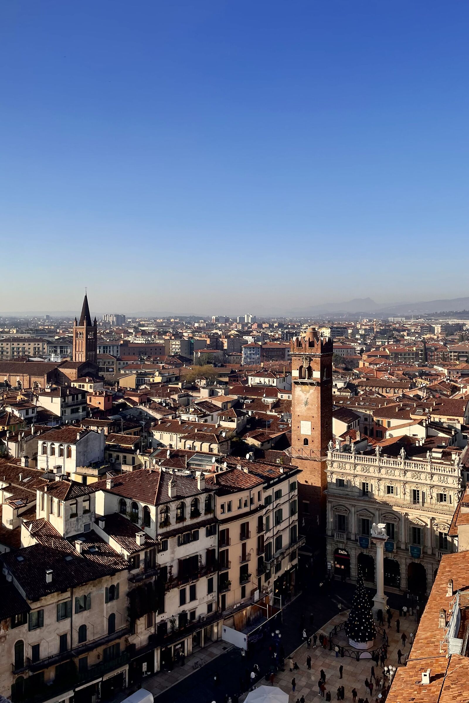 From the Dei Lamberti Tower