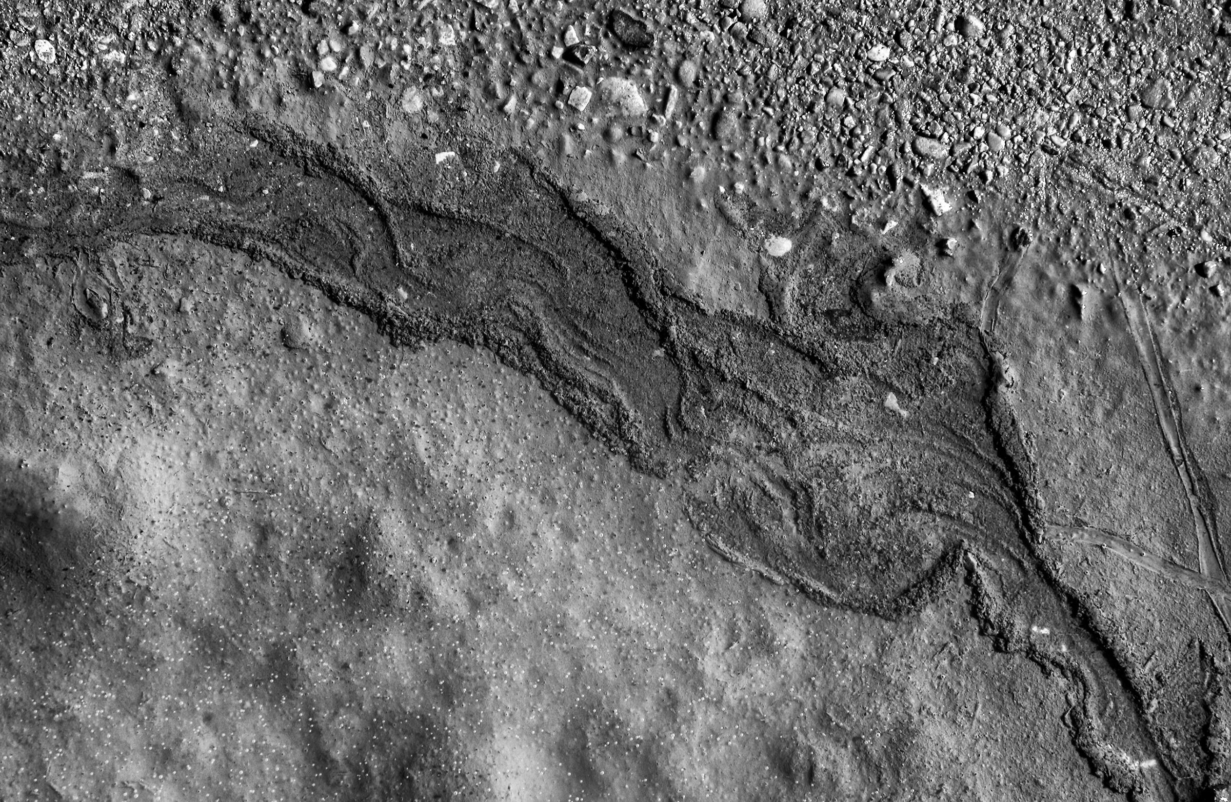 The fluid side of the Moon