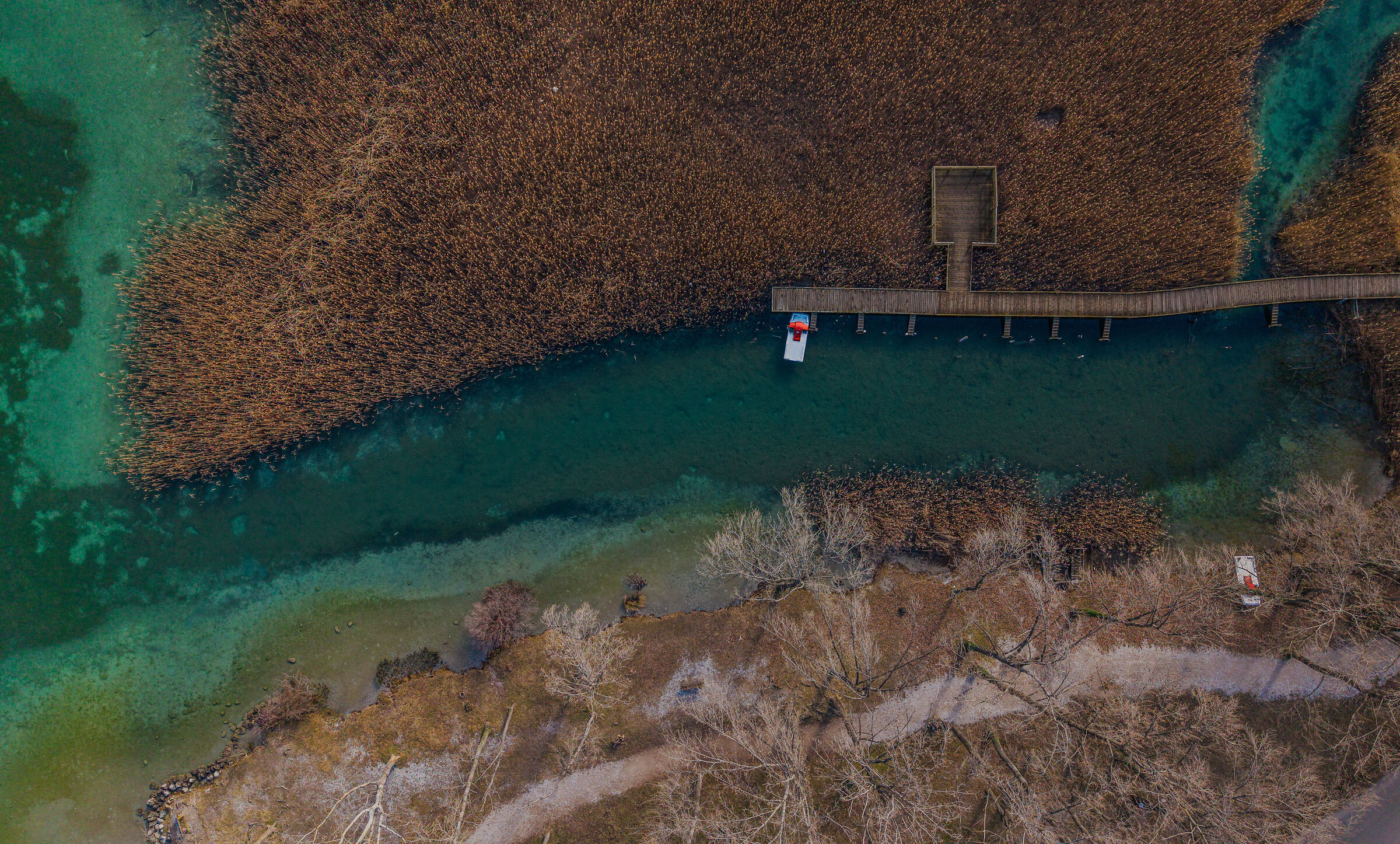 Special points of view