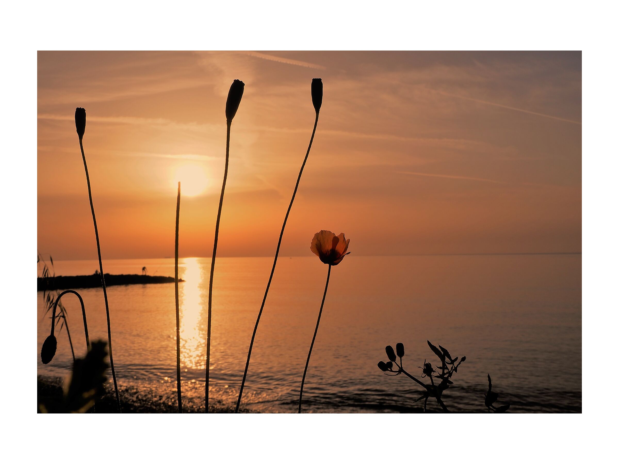 Respiro di sole