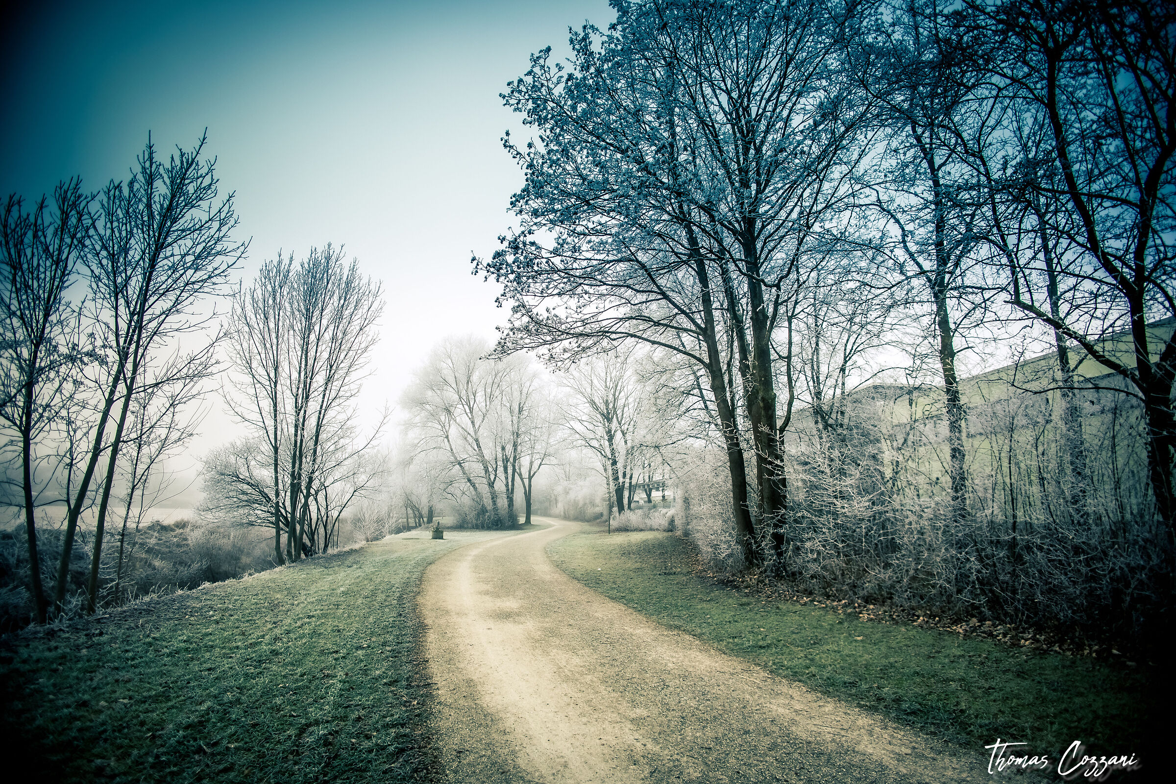 Winter way