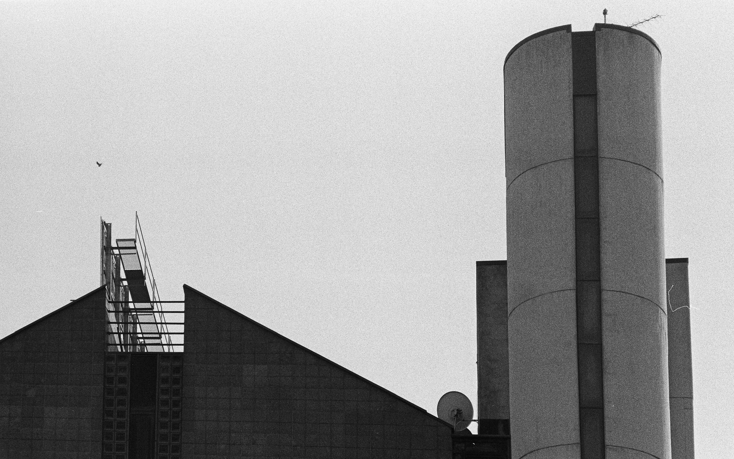 Milan Niguarda, 2025