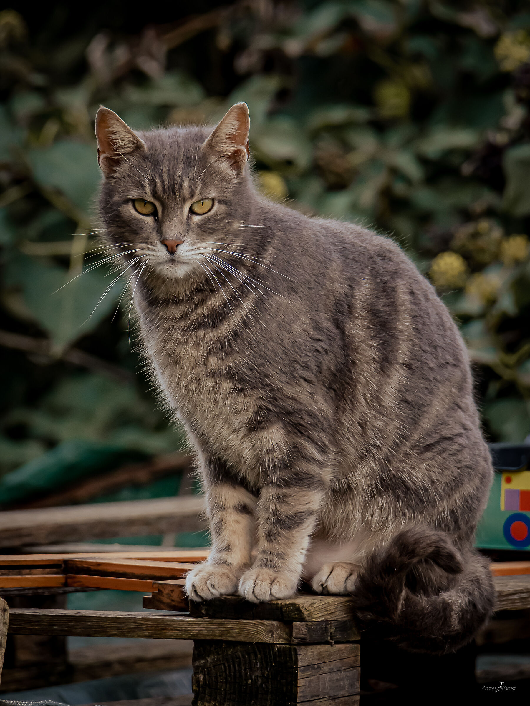 I'm not posing.... I just keep an eye on you!!