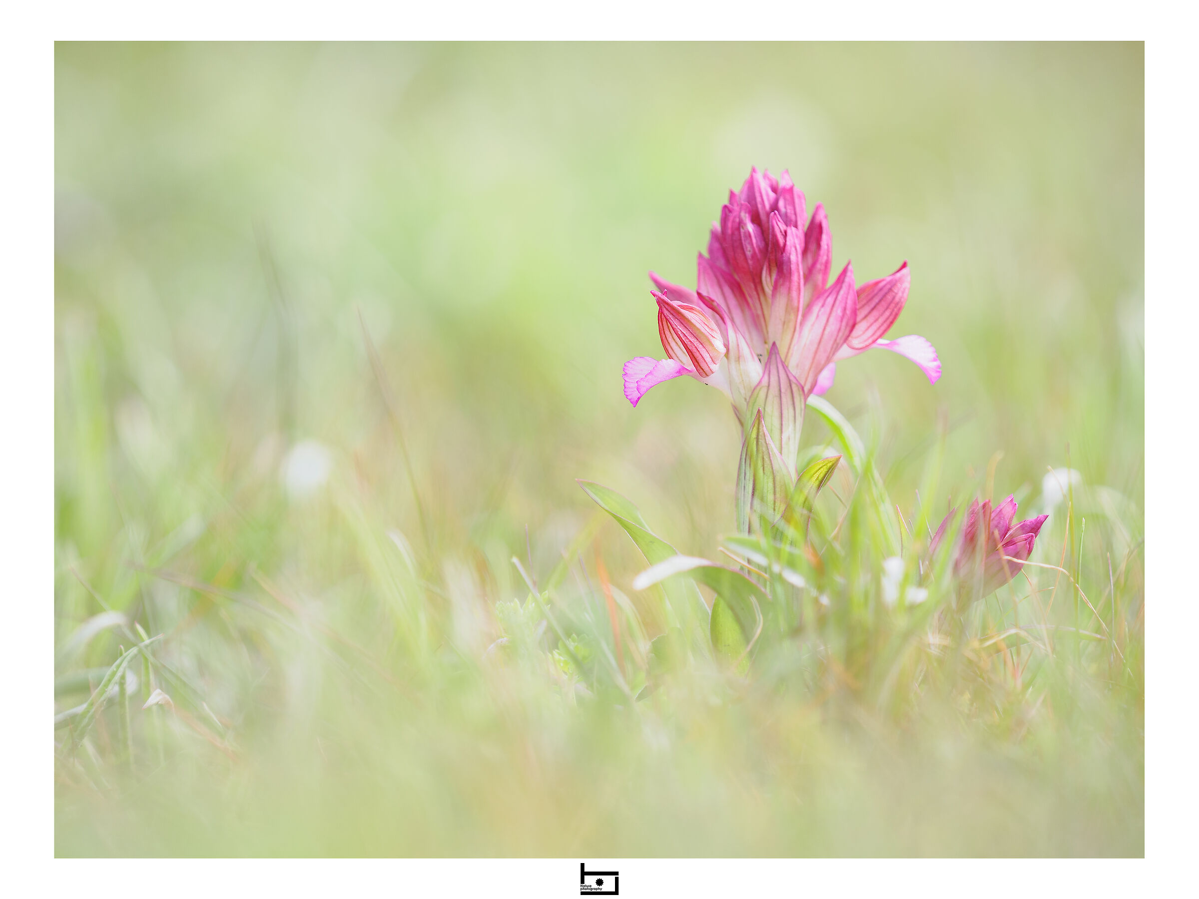 The awakening - 3
