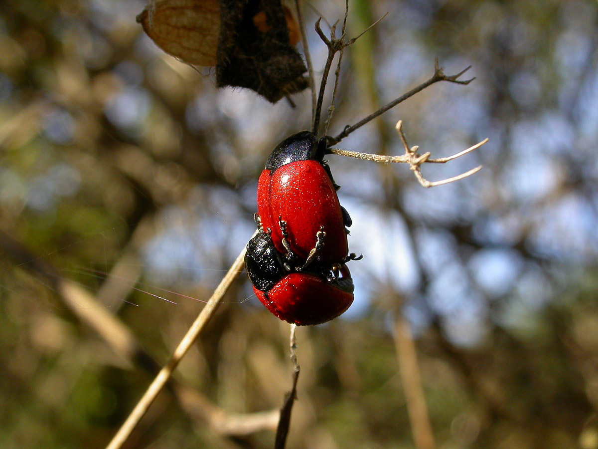 mi piace l' arrampicata