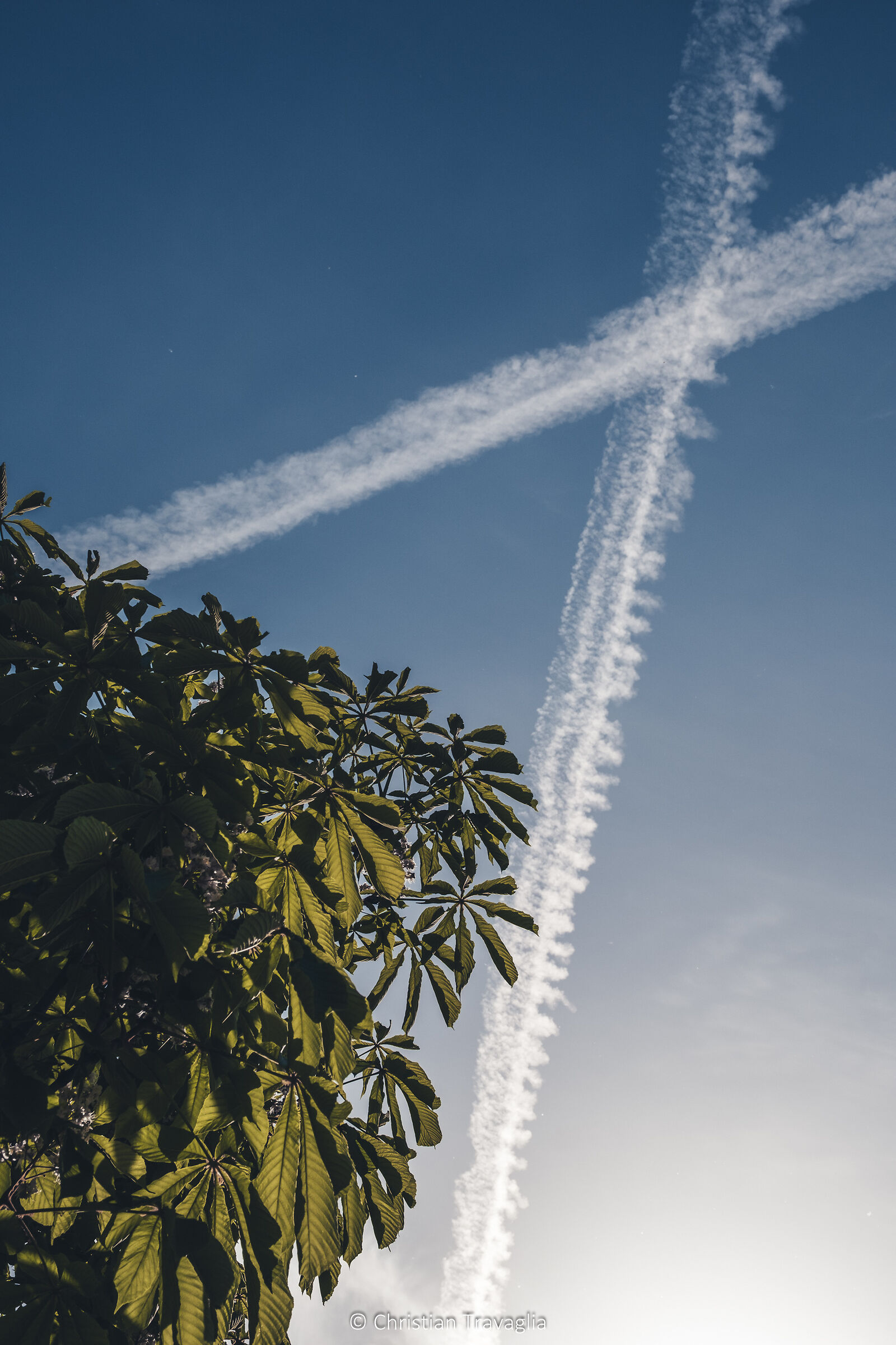 Casualità - Primavera 2024