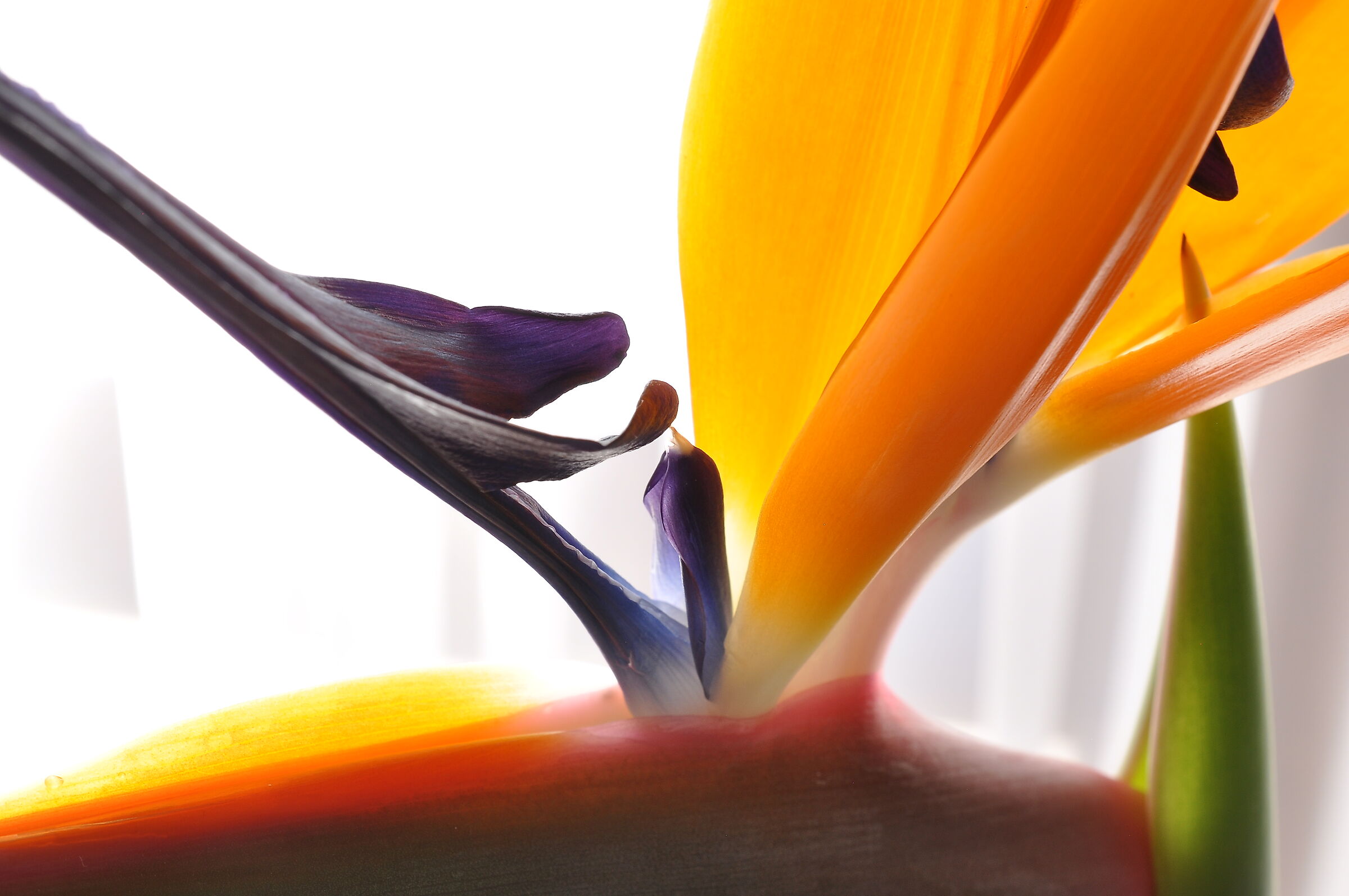 Abstraction