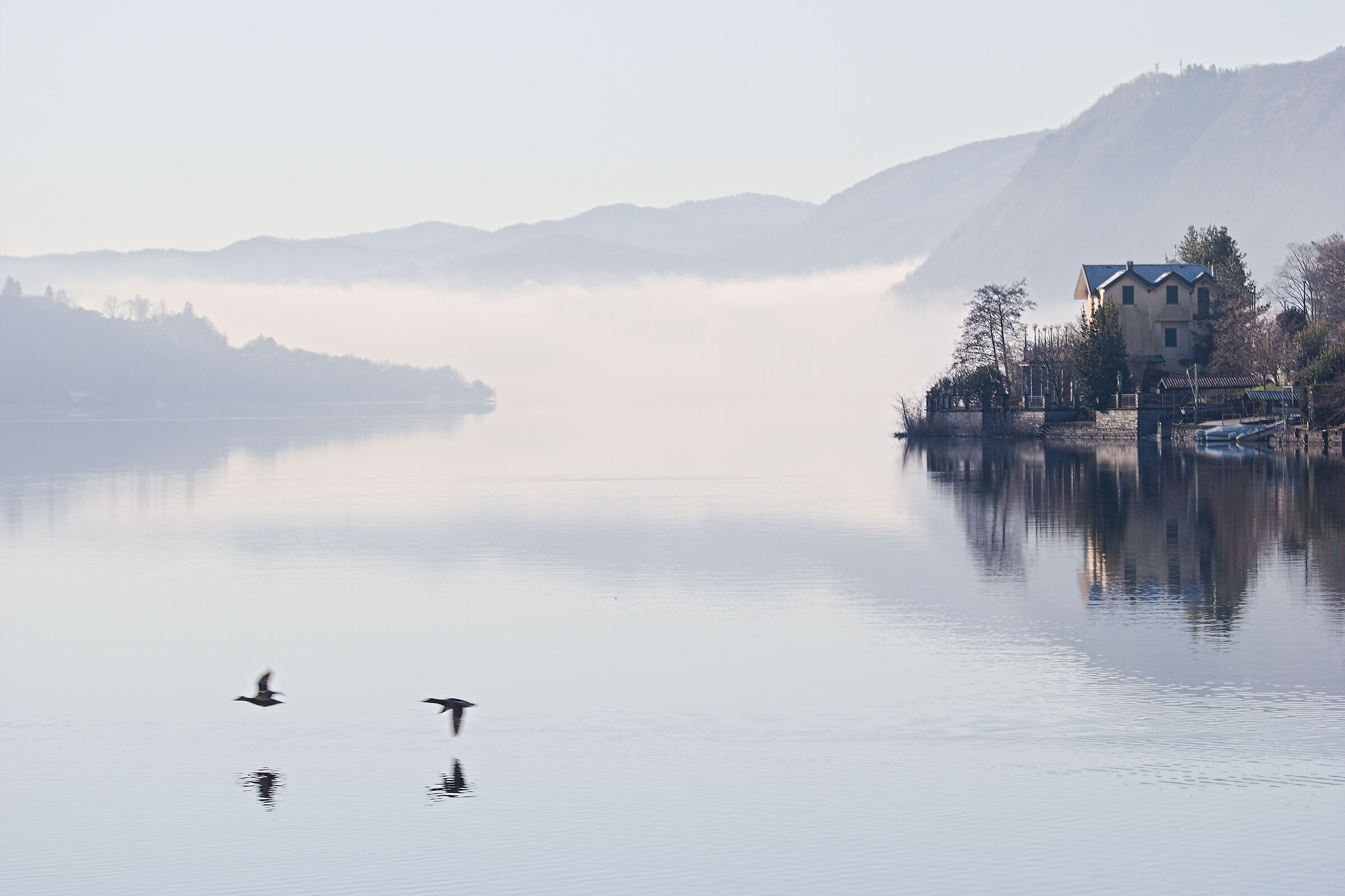Alla faccia della raffica