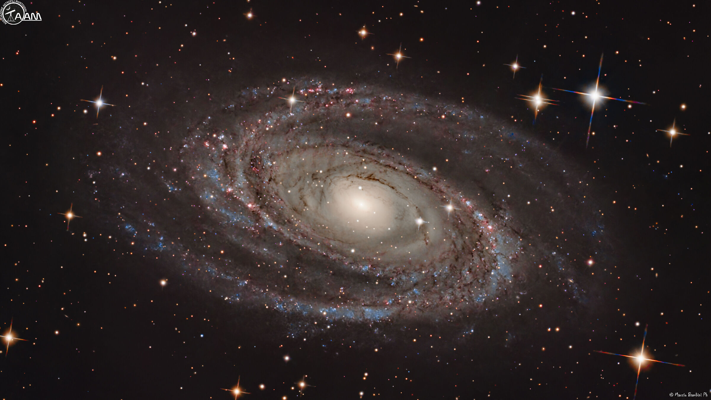 M81 Bode's Galaxy