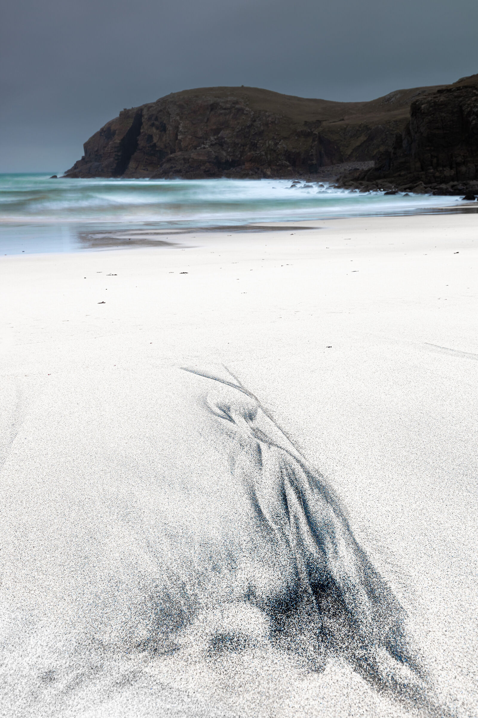 A parrot on the sand