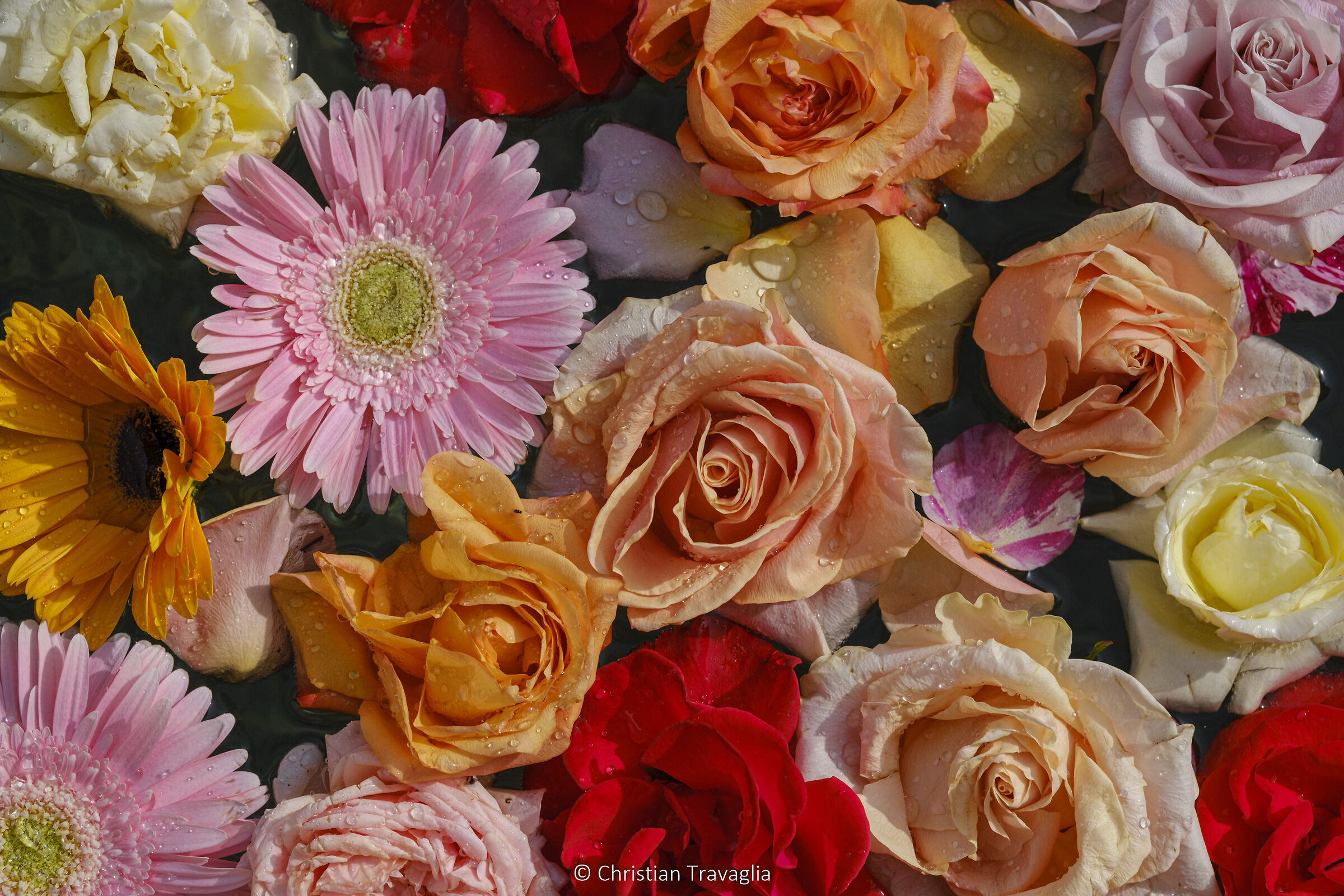 Festa di Primavera 2024 - Egna (bz)