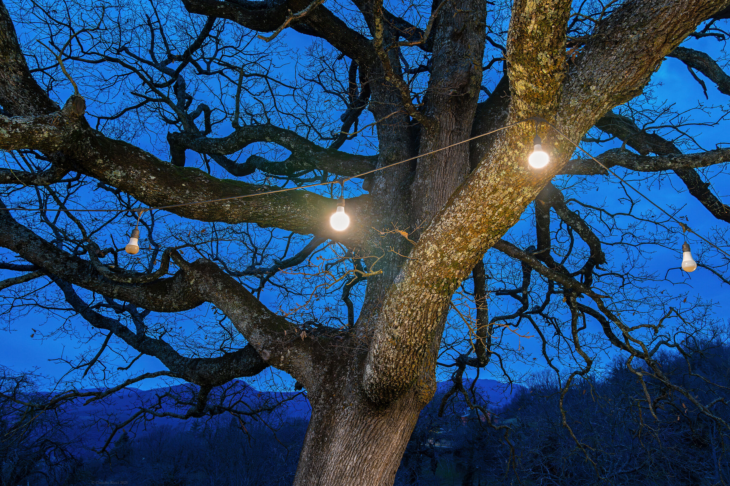 Nei Secoli dei Secoli