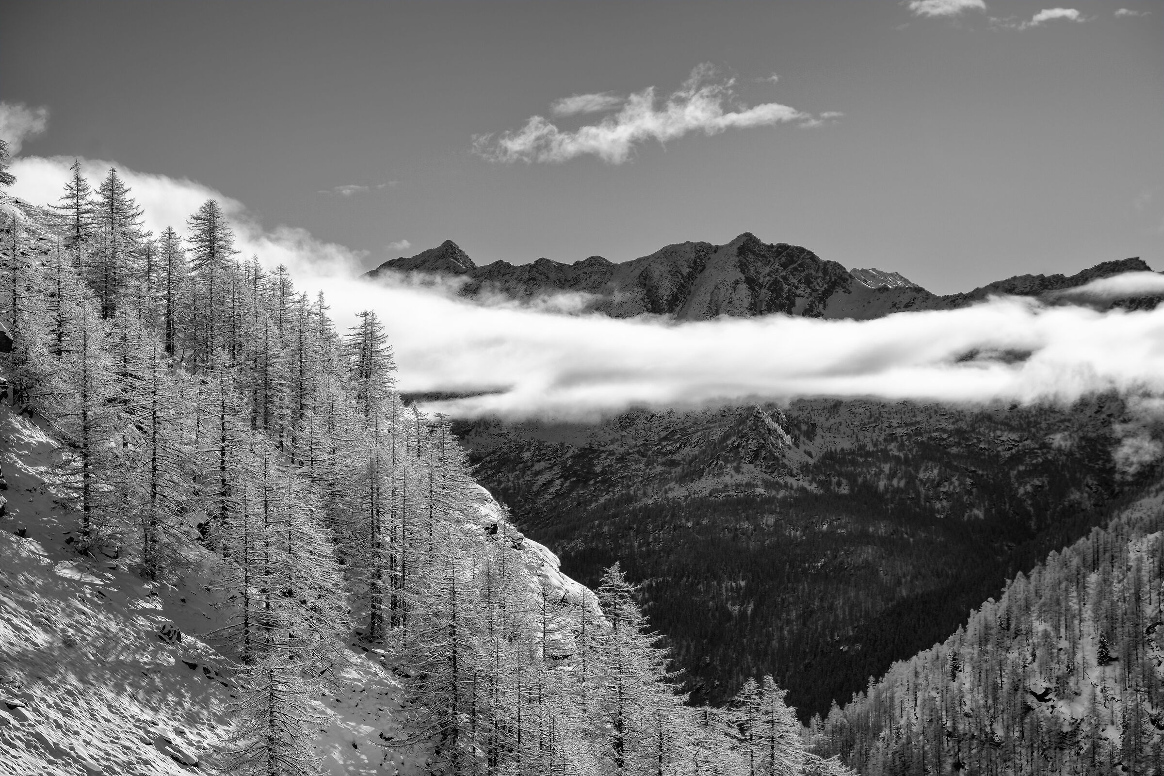 Parco Nazionale  Gran Paradiso - Piemonte