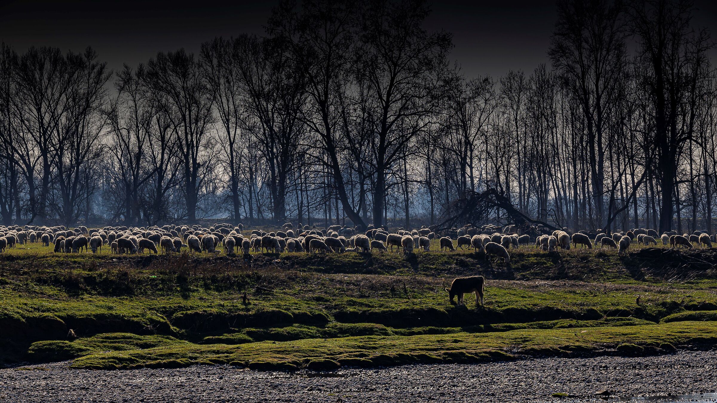 On the riverbed